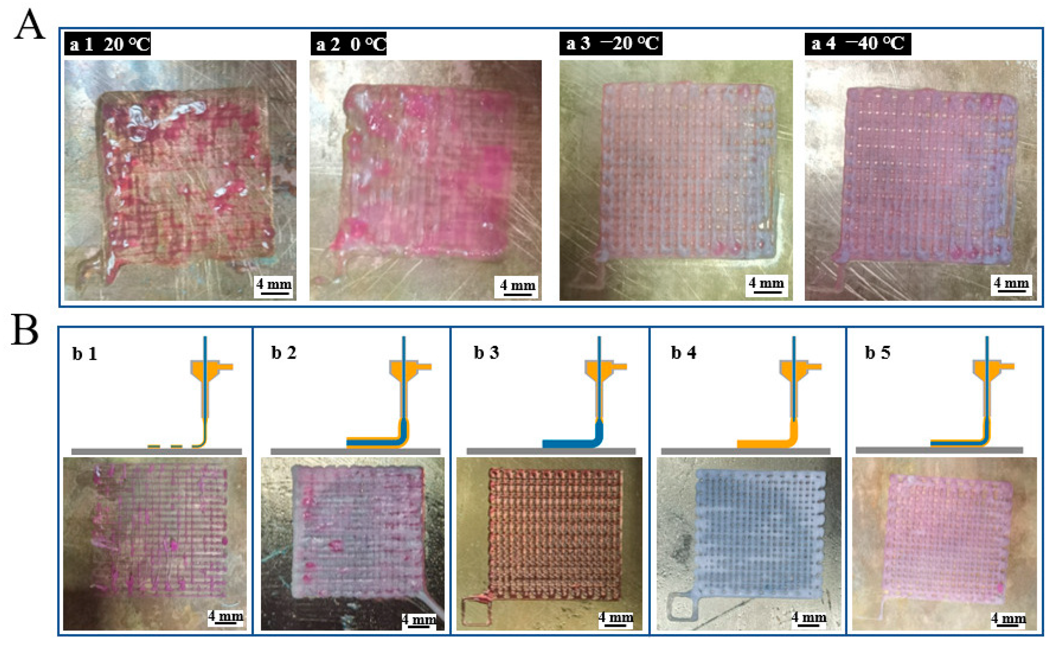 Polymers 14 01722 g003