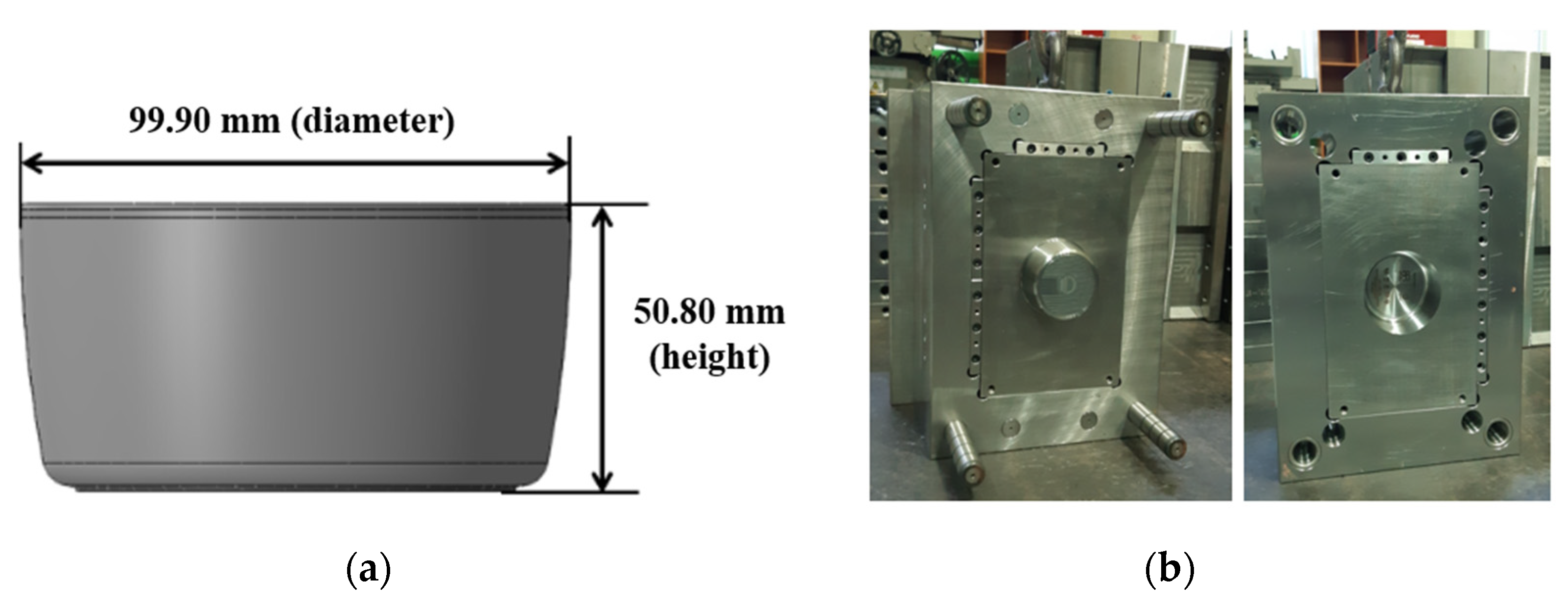 Polymers 14 01724 g001