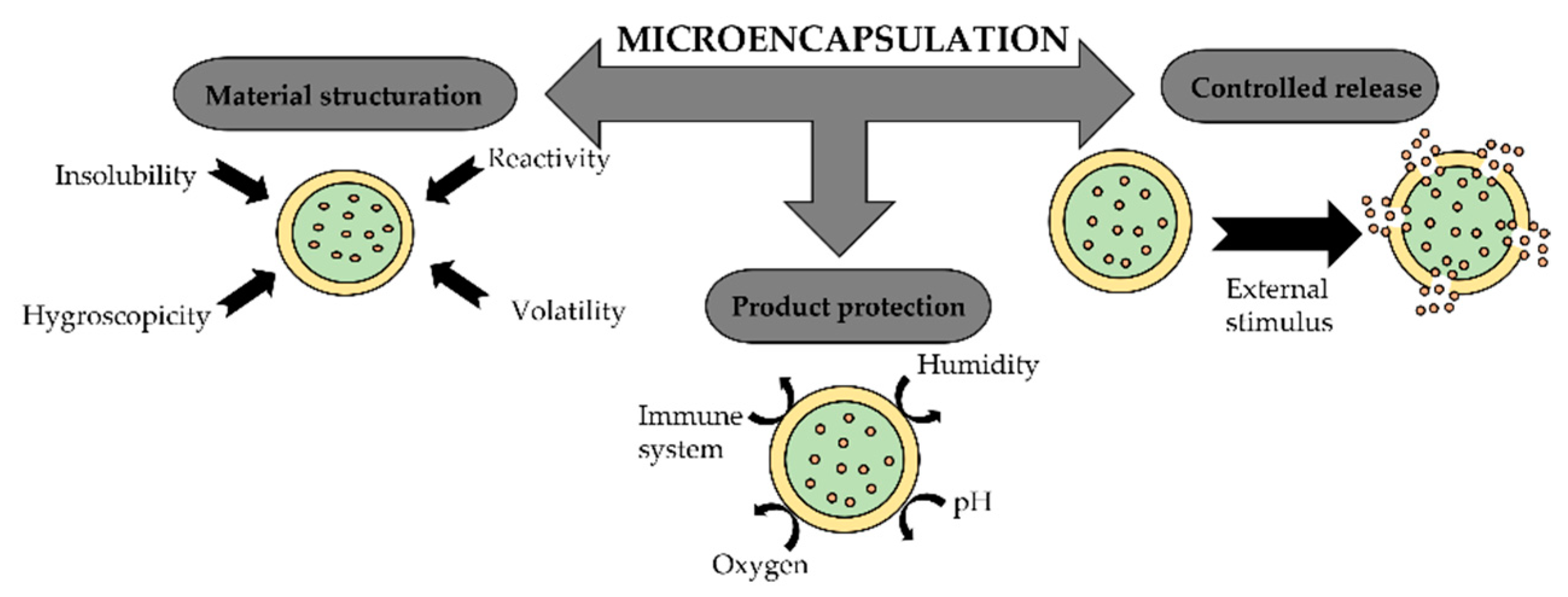 Polymers | Free Full-Text | Microencapsulation of Essential Oils: A Review