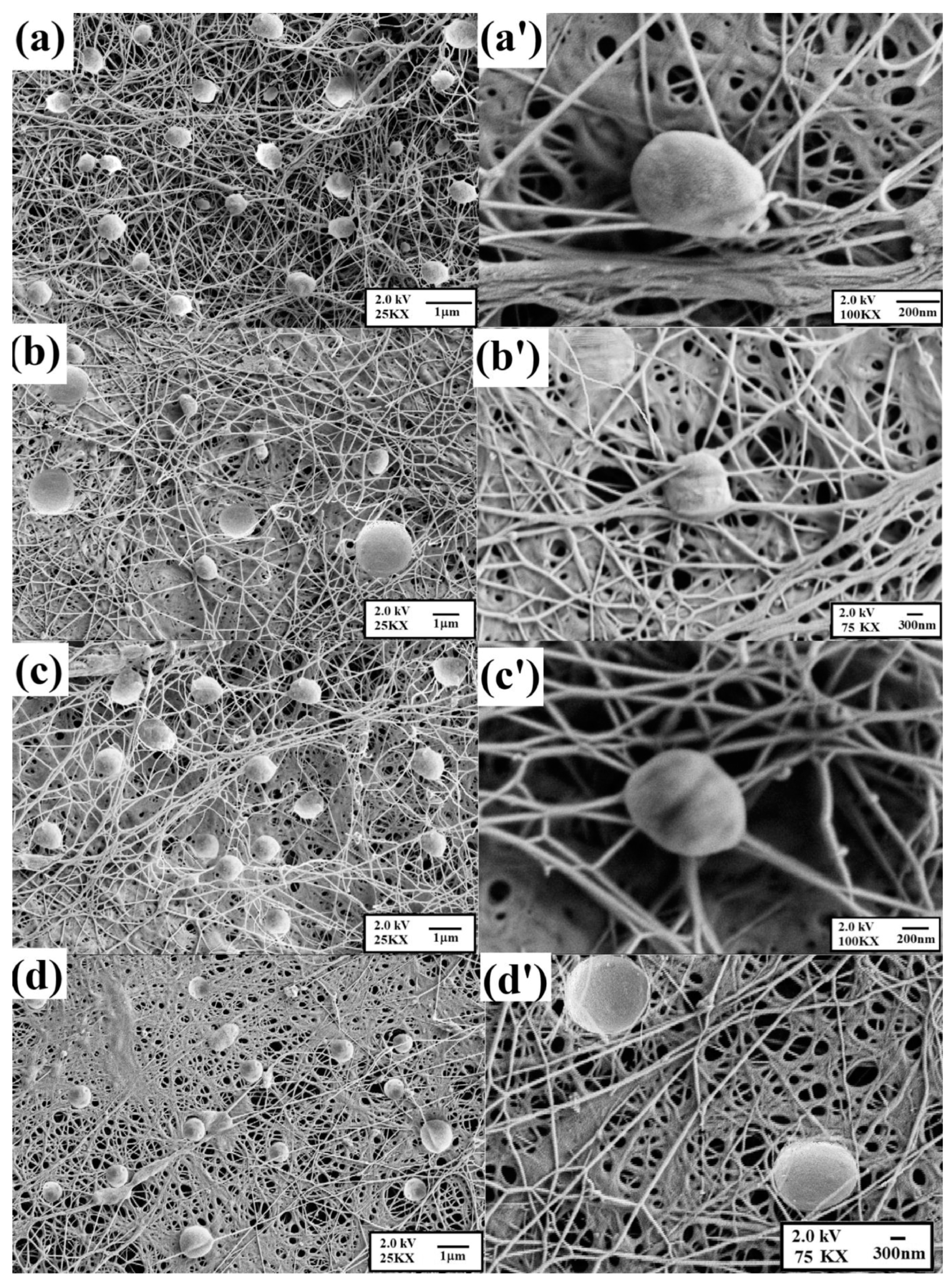 Polymers 14 01730 g026 Polymers 14 01730 g026