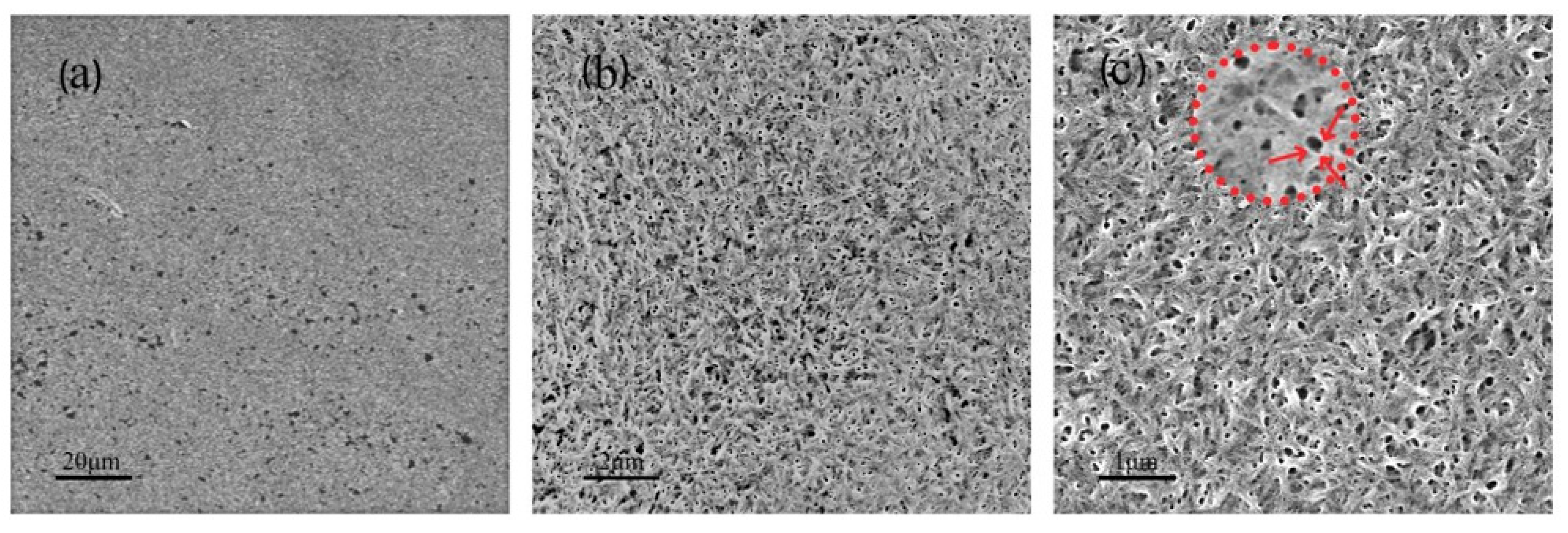 Polymers 14 01746 g001