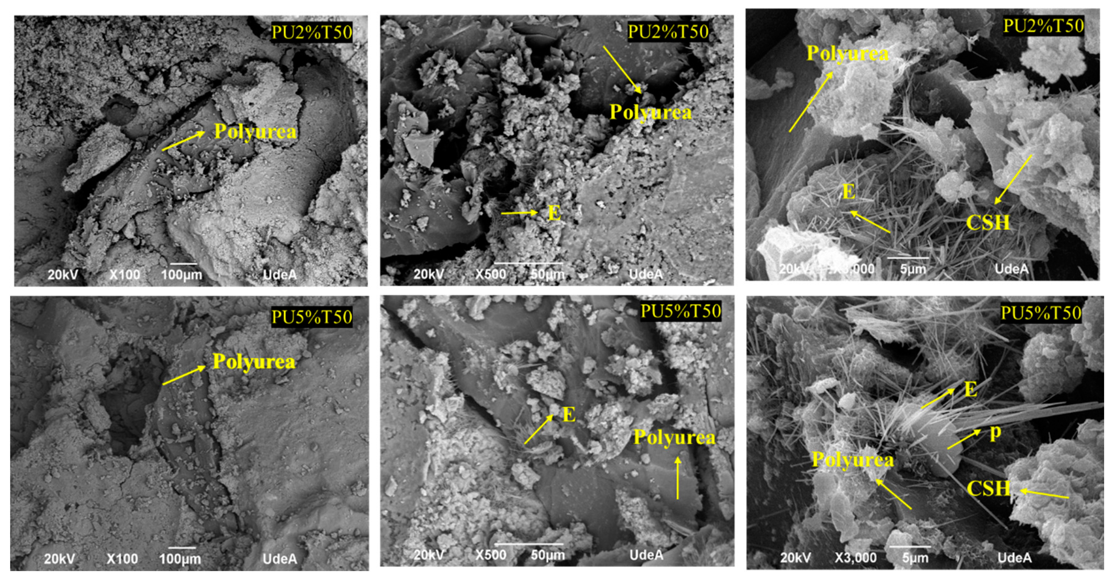 Polymers 14 01753 g006