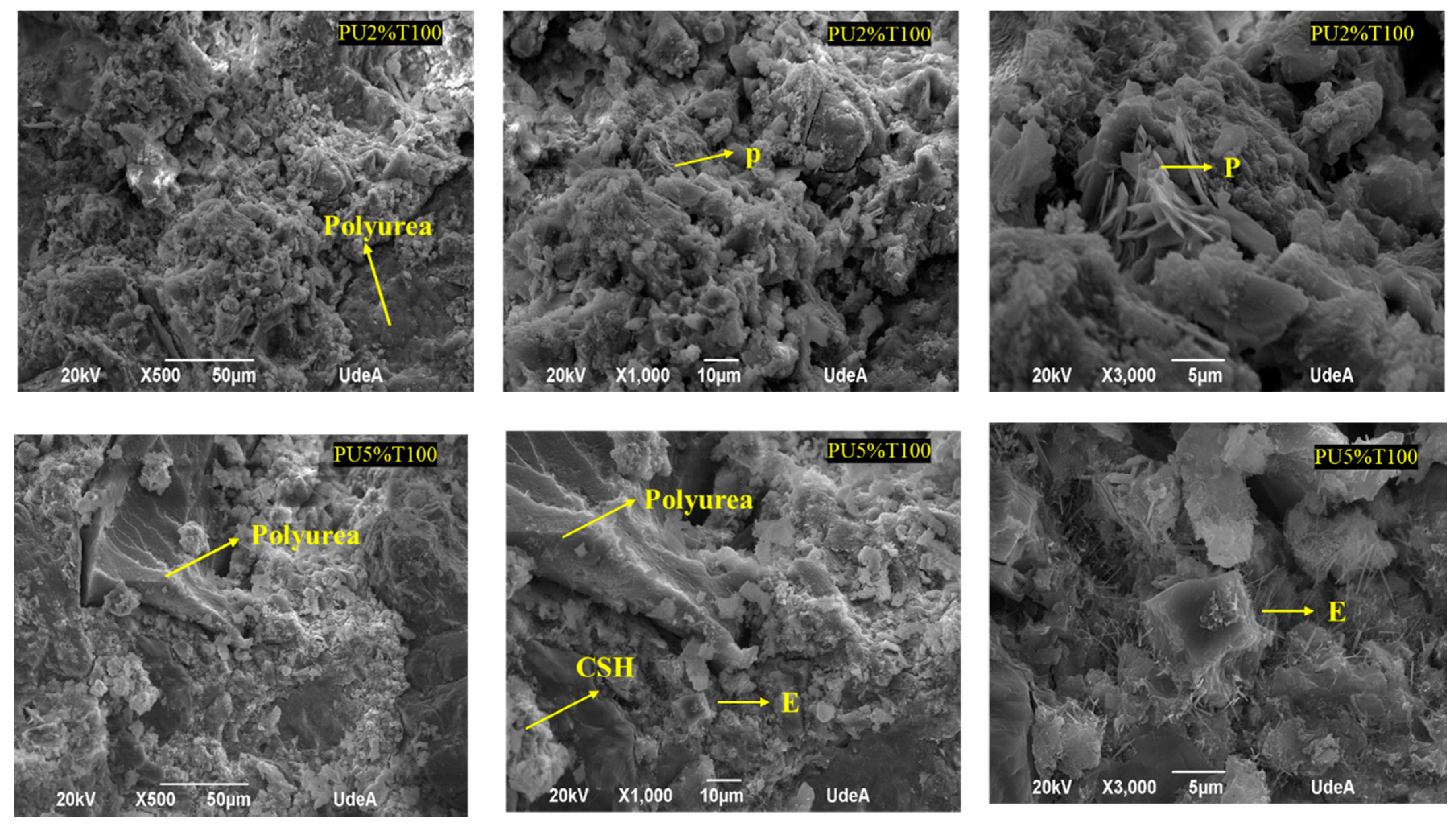 Polymers 14 01753 g007