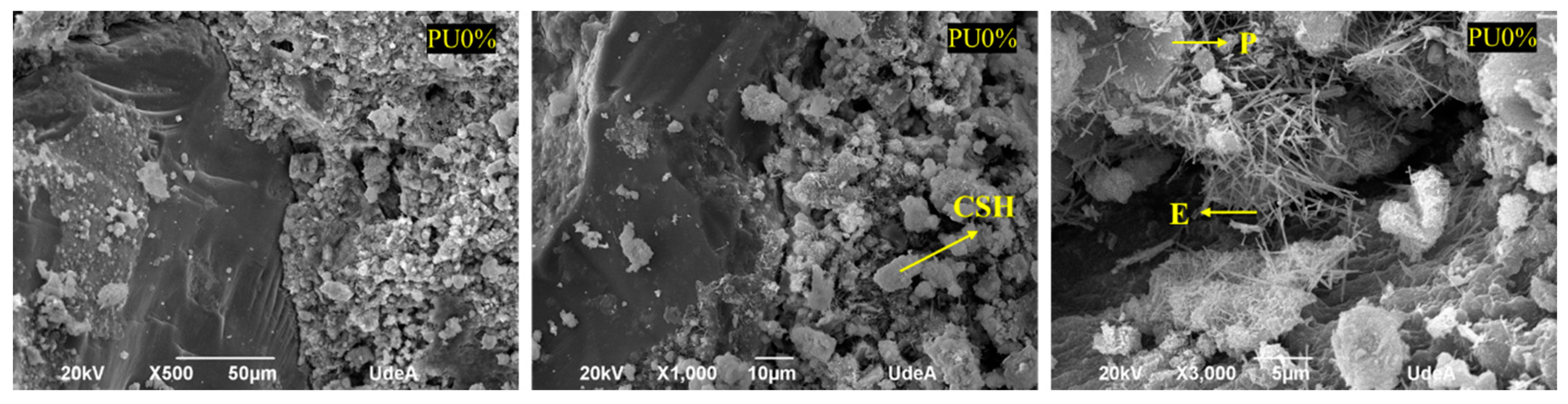 Polymers 14 01753 g008