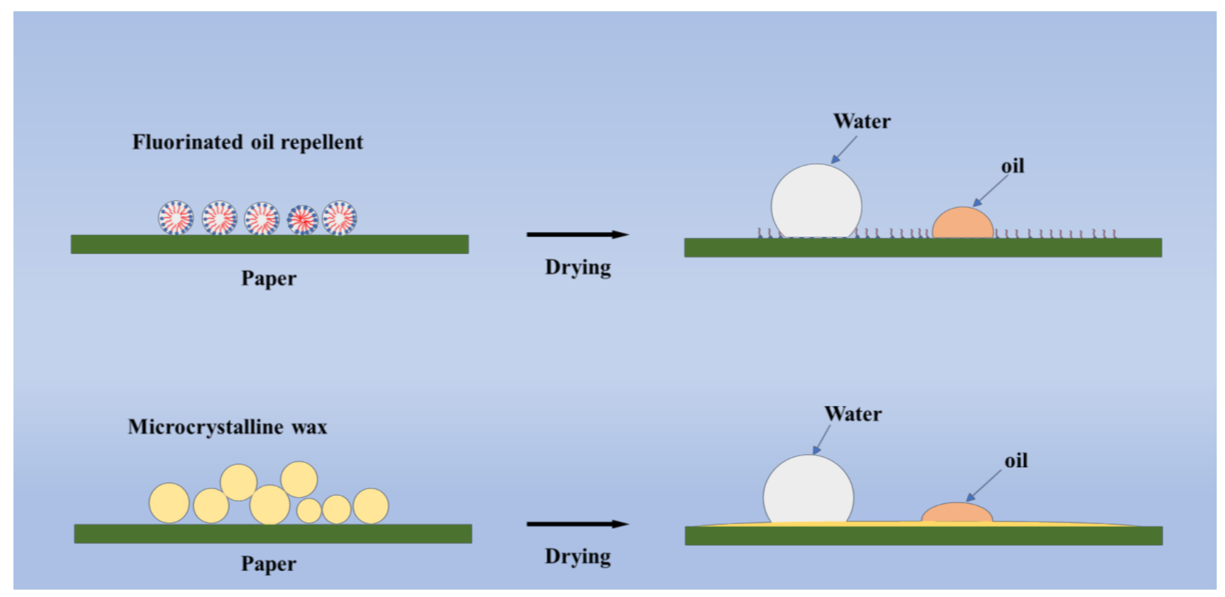 From Food Emulsifiers to Polymer Additives – The Renewable