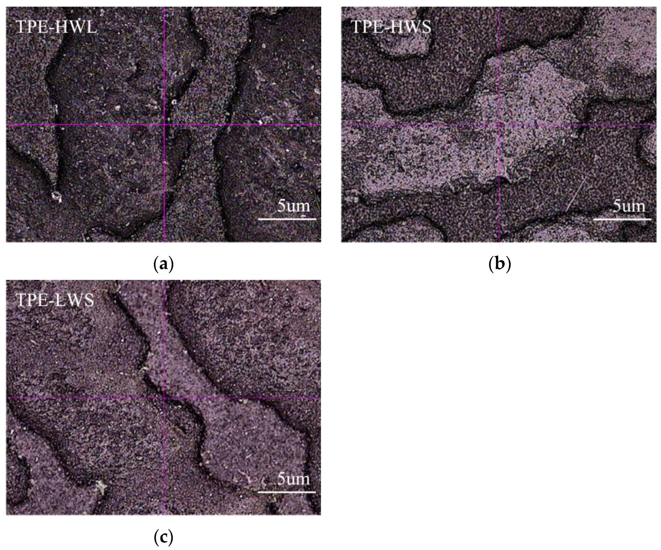 Polymers 14 01795 g009
