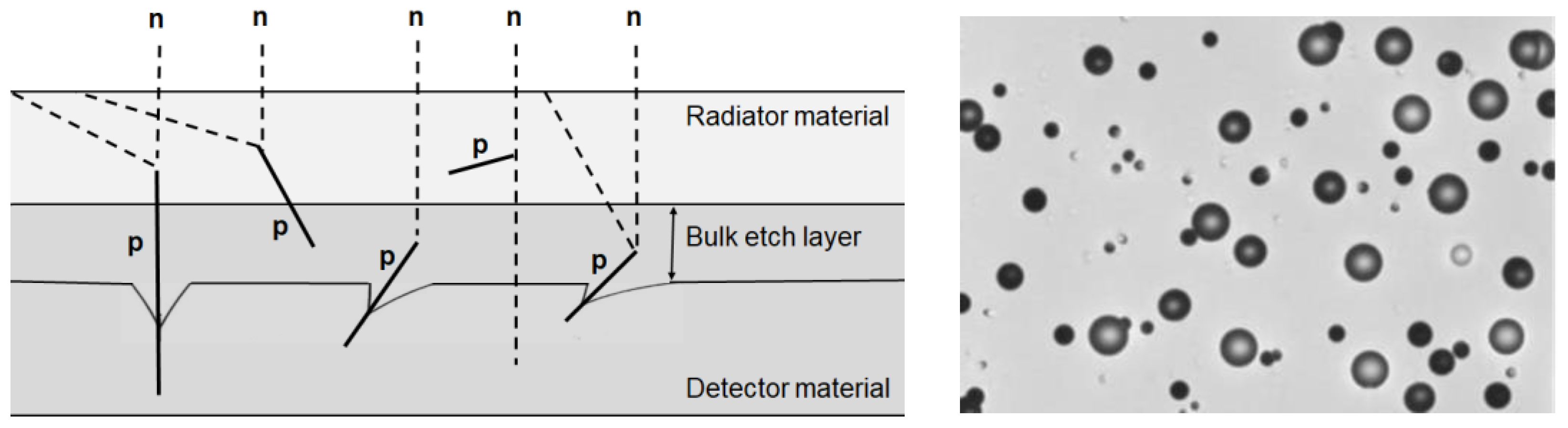 Polymers 14 01801 g001