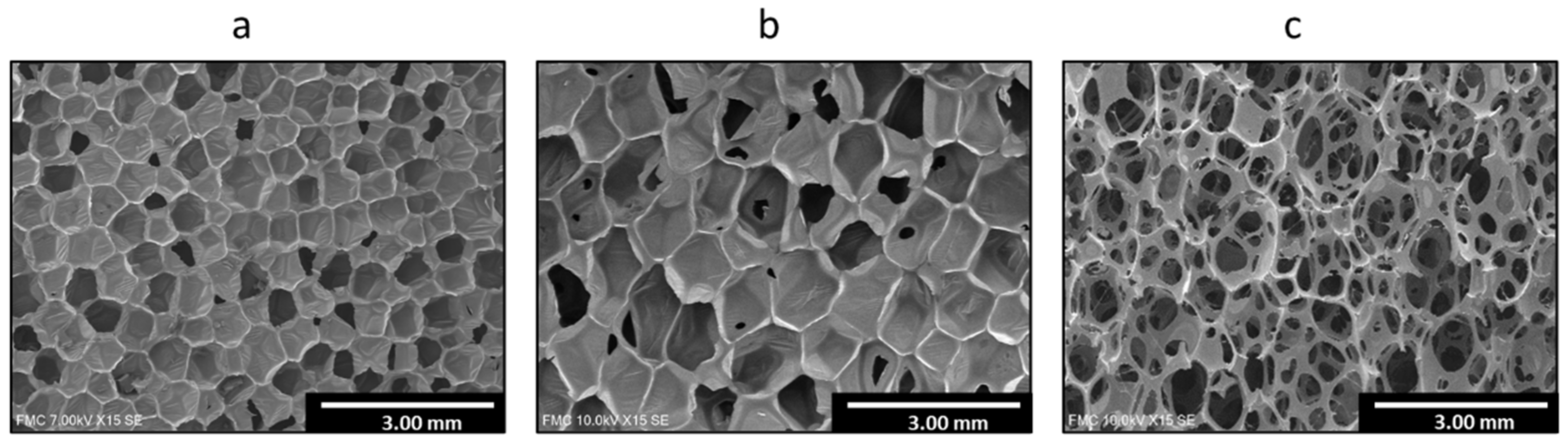 Polymers 14 01807 g001