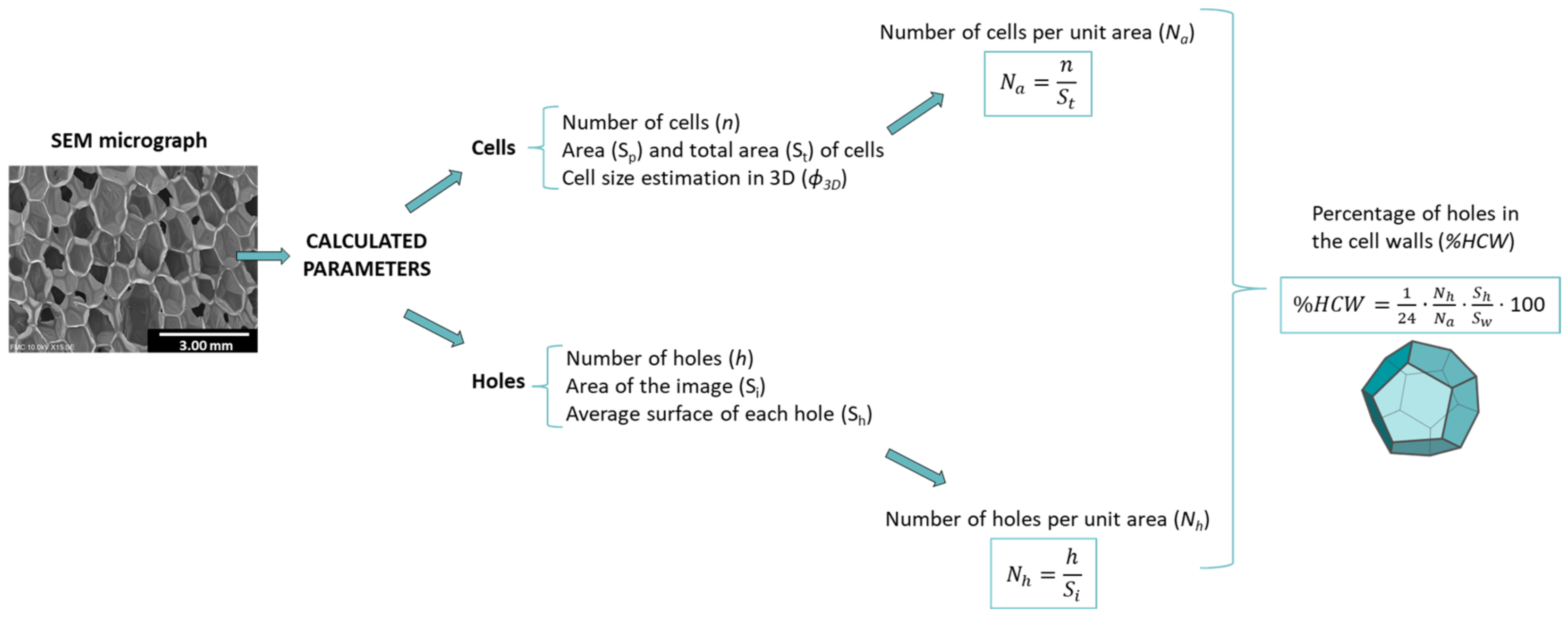 Polymers 14 01807 g002