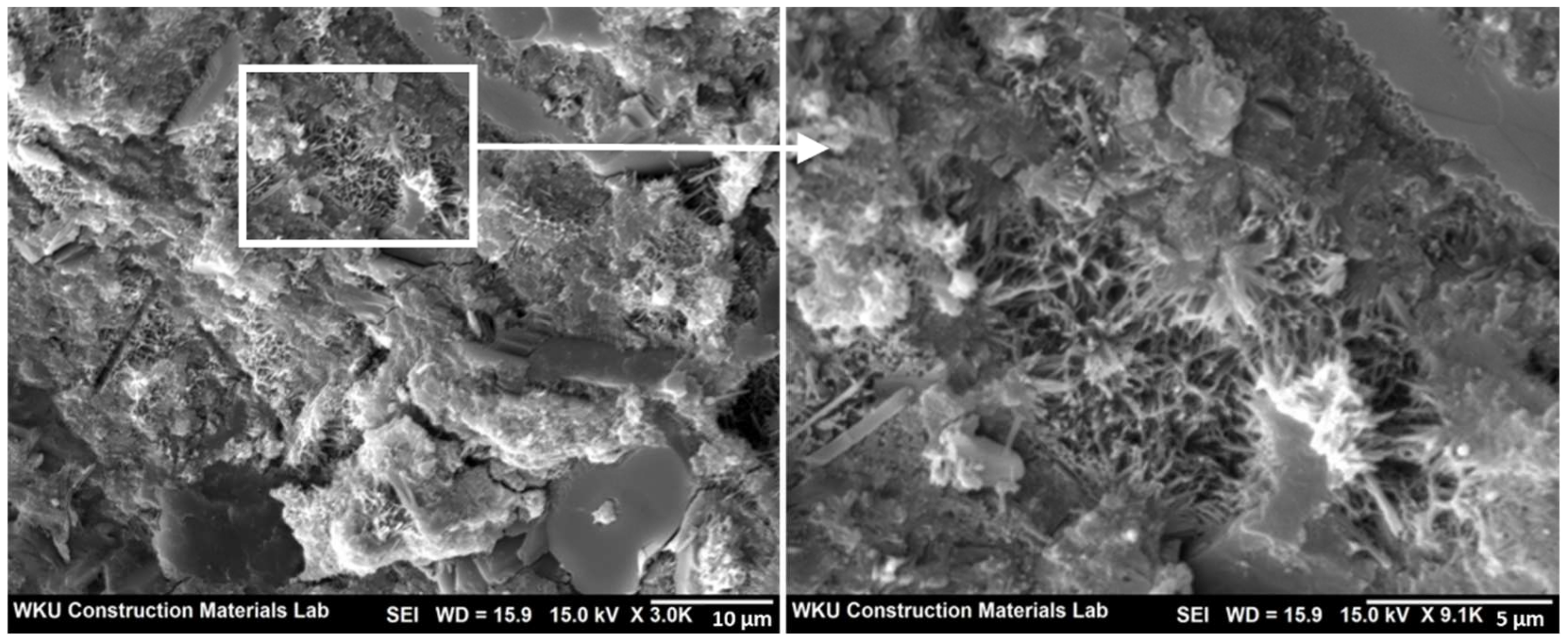 Polymers 14 01808 g009