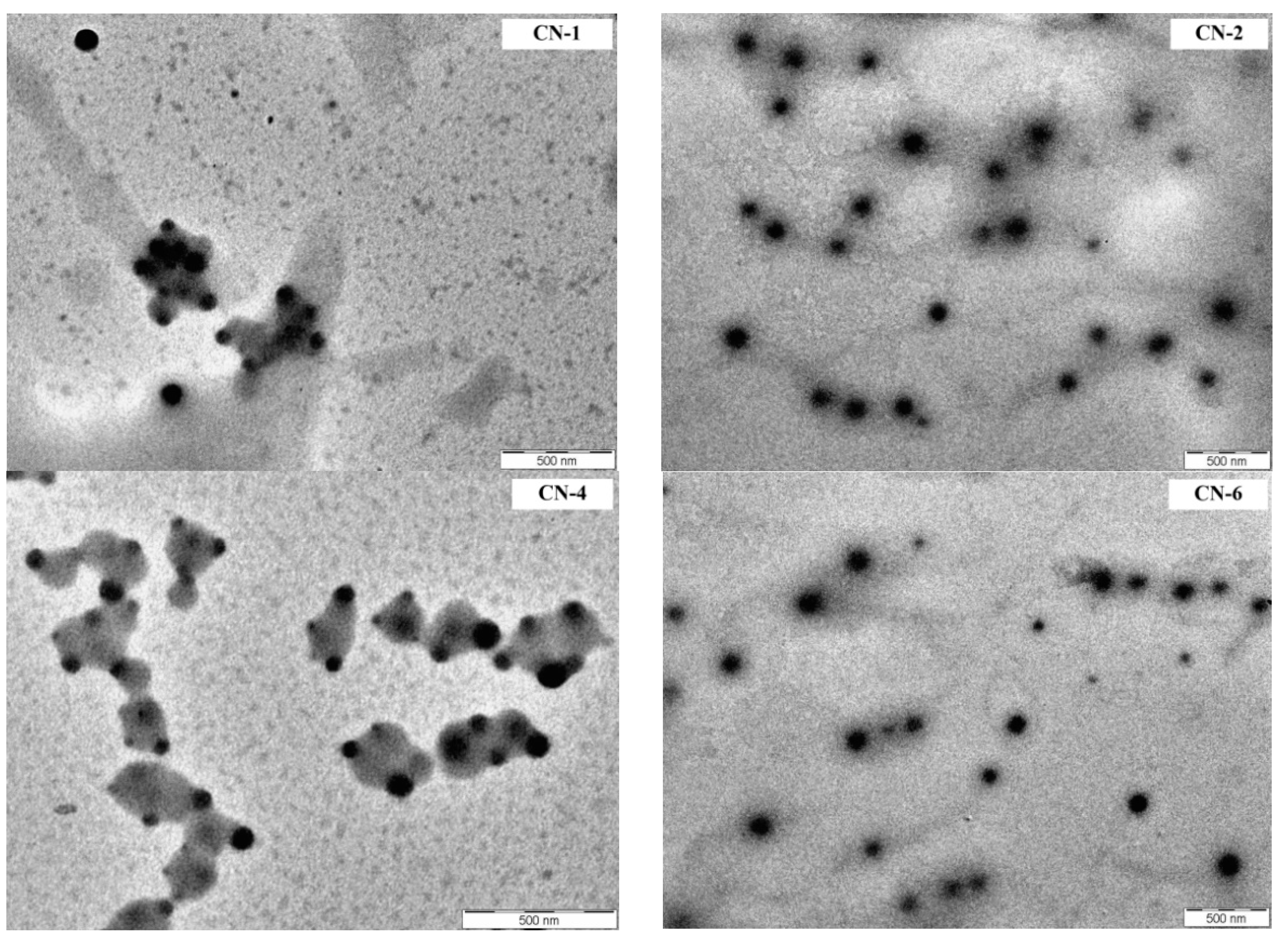 Polymers 14 01811 g004 Polymers 14 01811 g004
