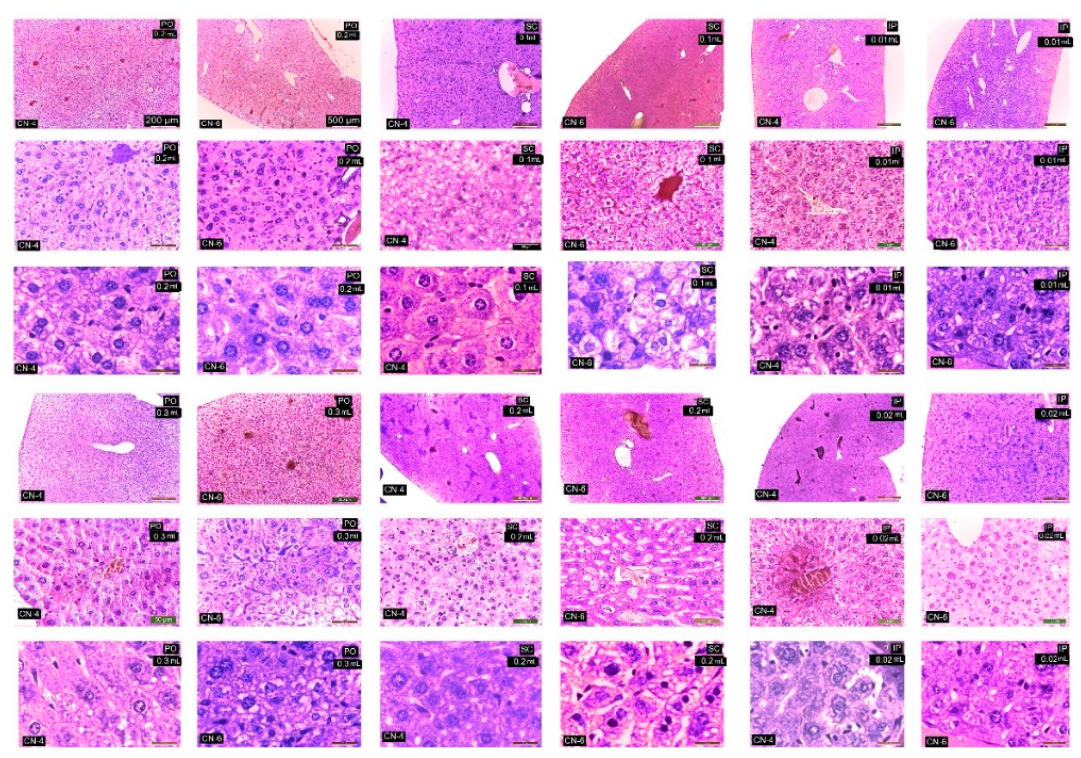 Polymers 14 01811 g011 Polymers 14 01811 g011