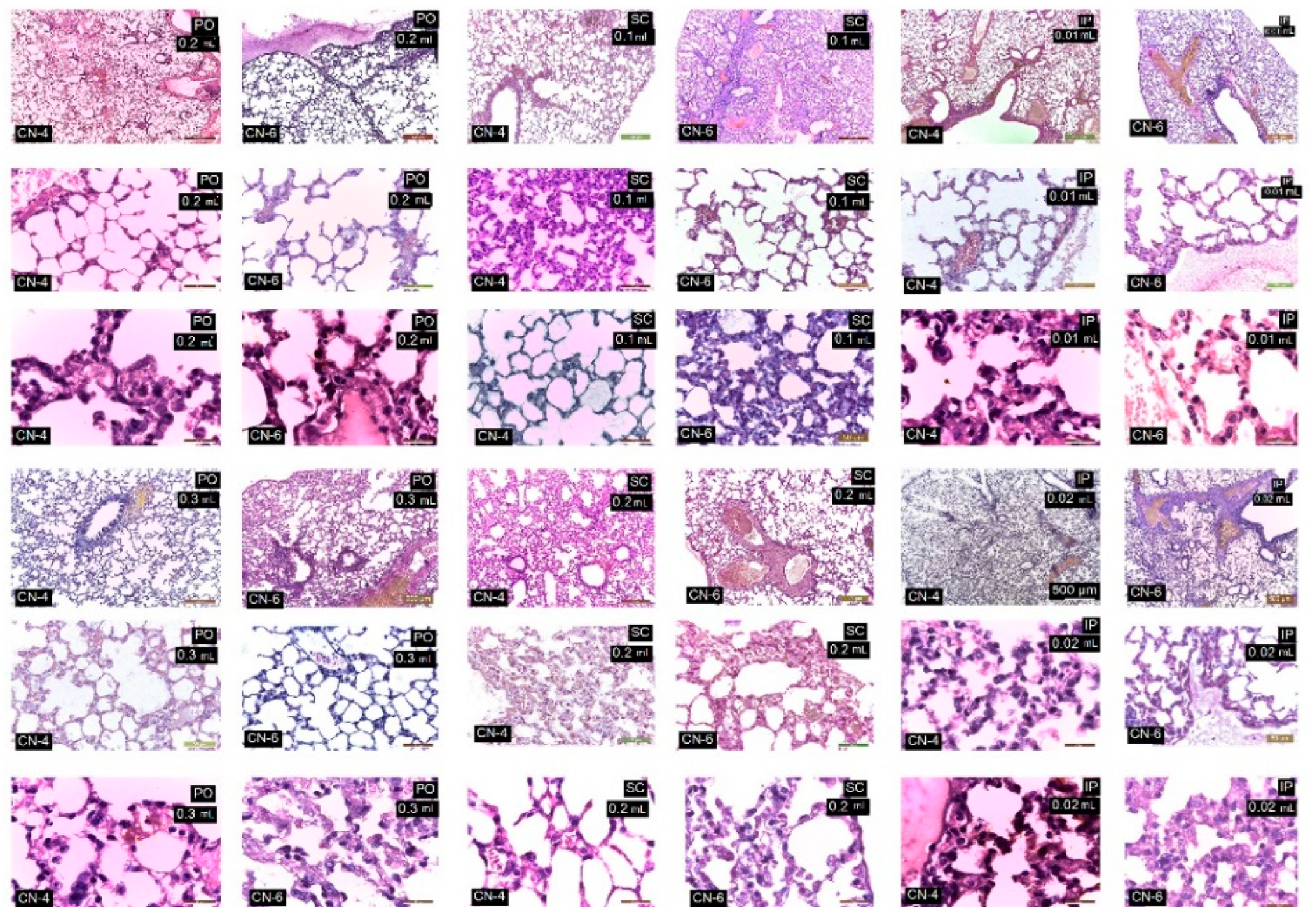 Polymers 14 01811 g013 Polymers 14 01811 g013