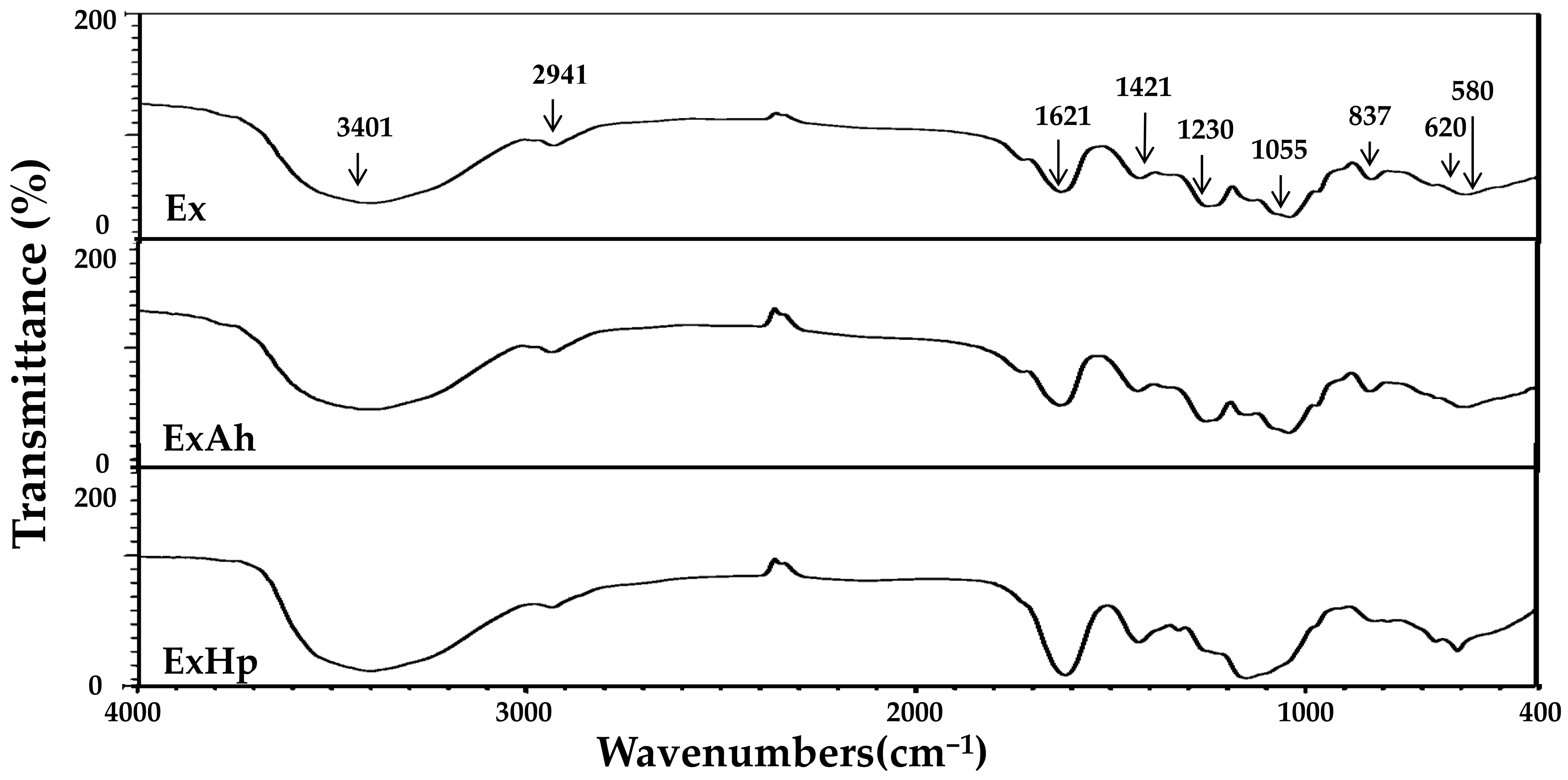 Polymers | Free Full-Text | Extraction, Biochemical