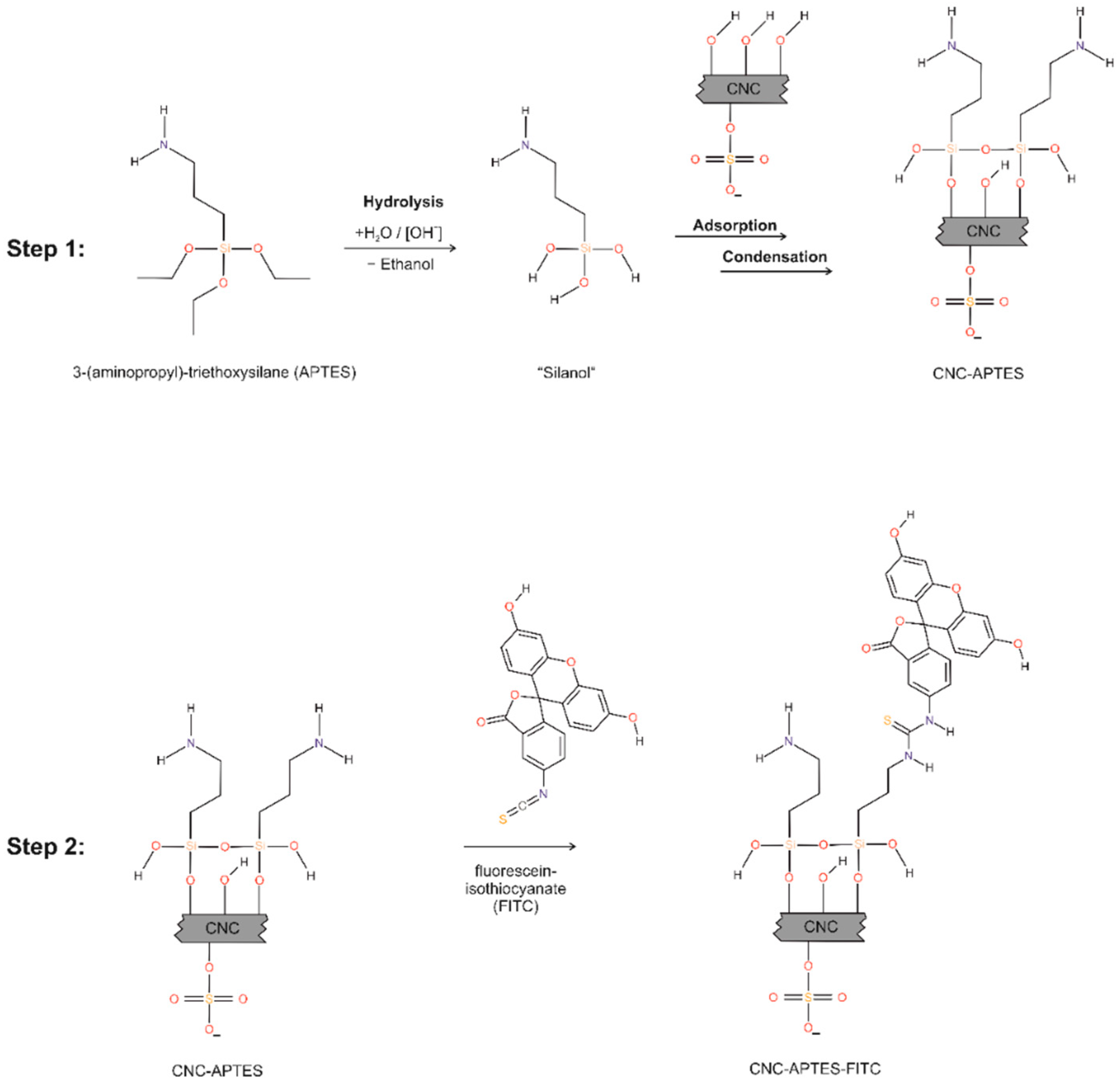 Polymers 14 01820 g001