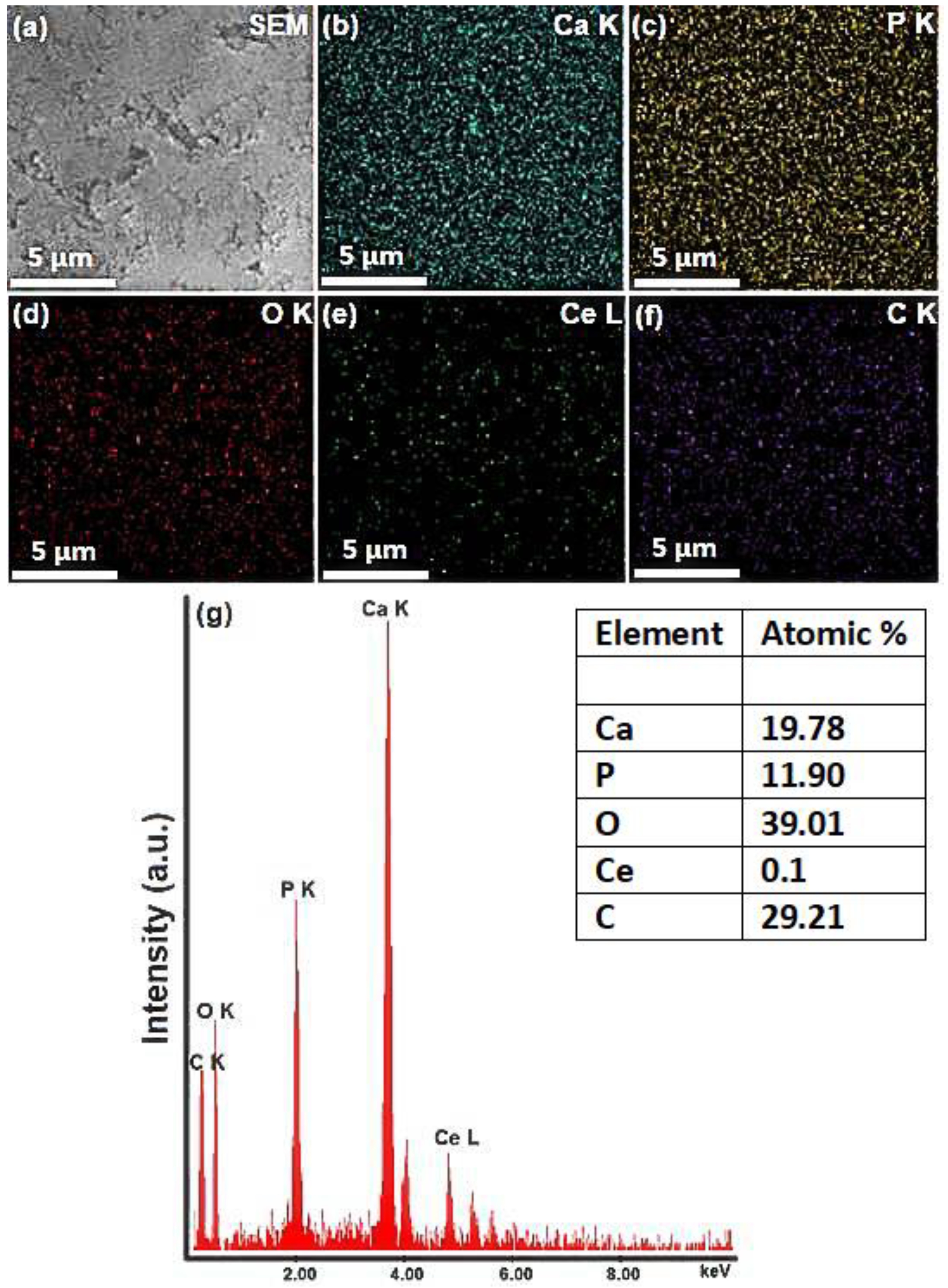 Polymers 14 01826 g004