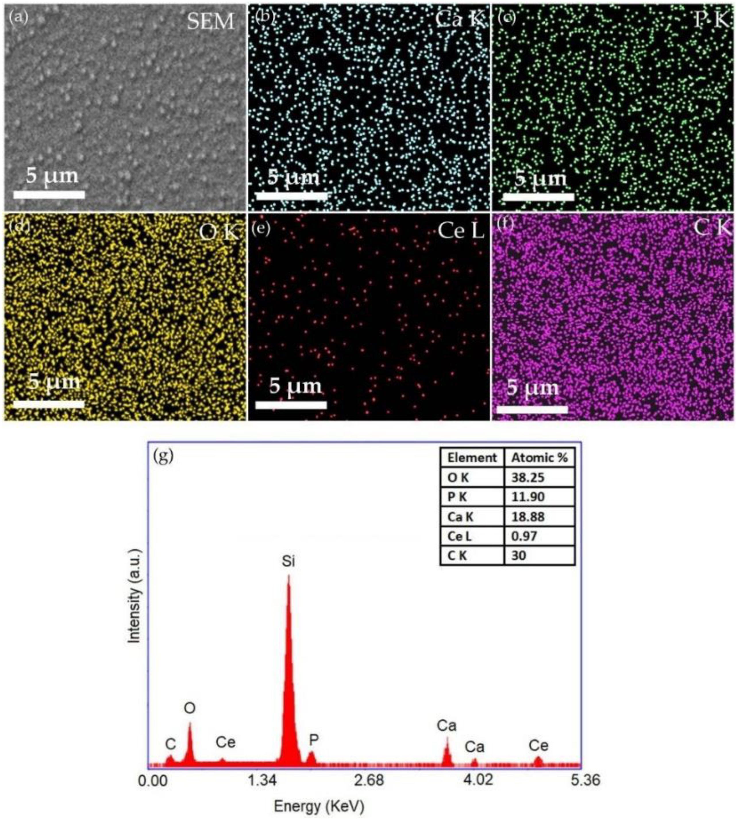 Polymers 14 01826 g006
