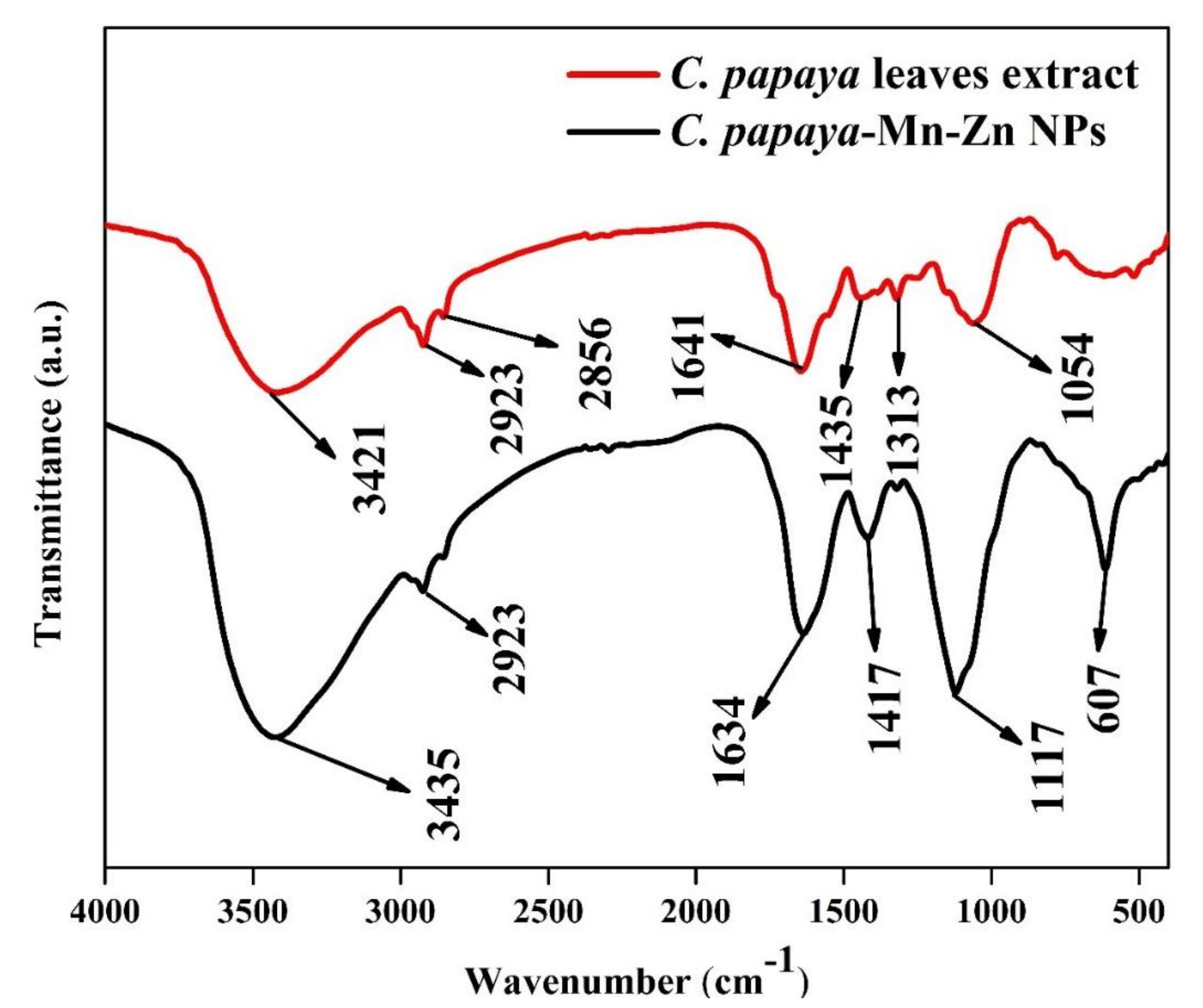 Polymers 14 01827 g003