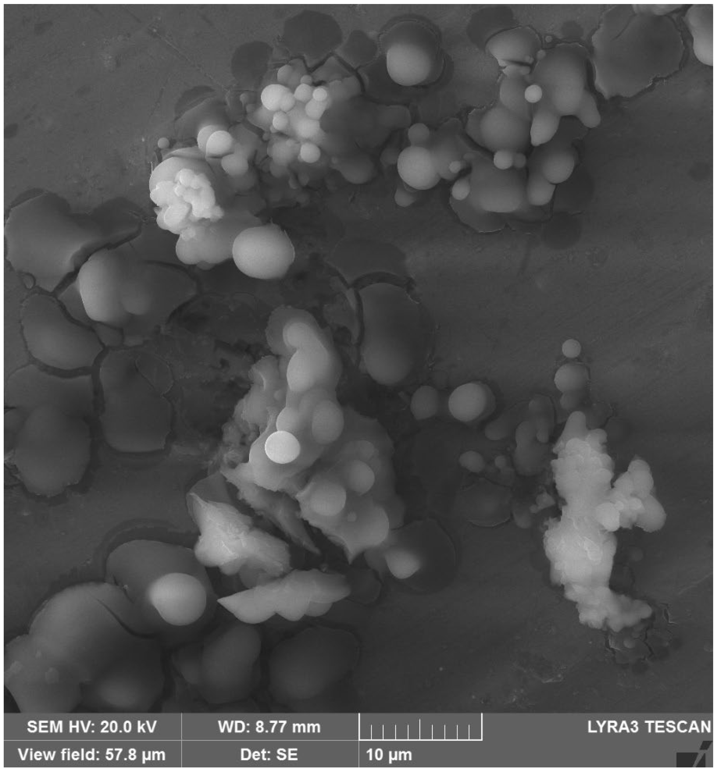 Polymers 14 01832 g006