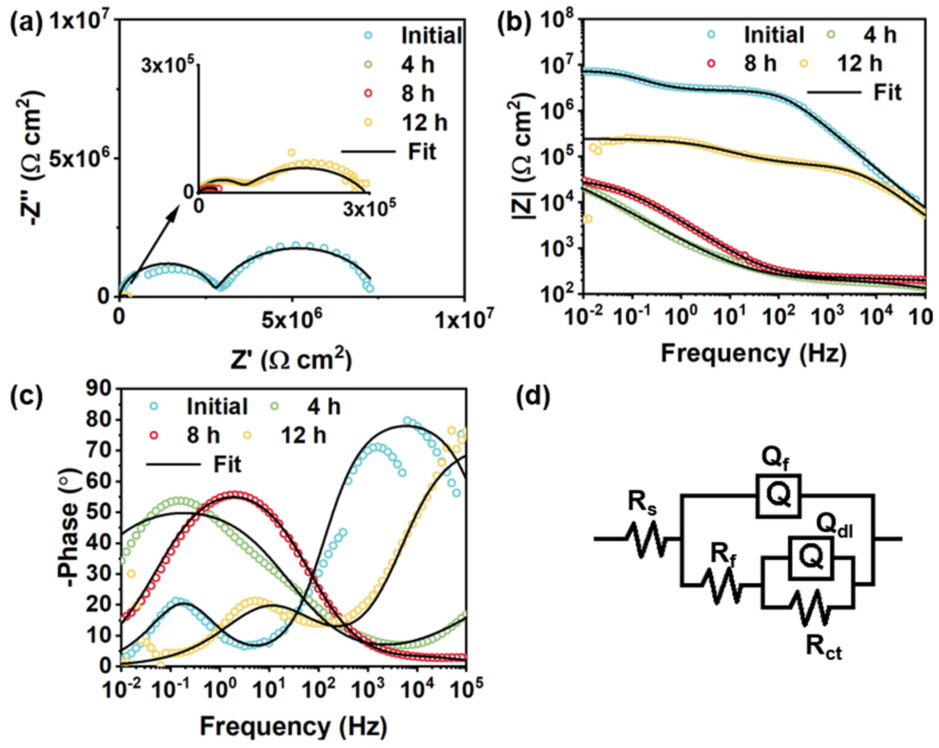 Polymers 14 01847 g012