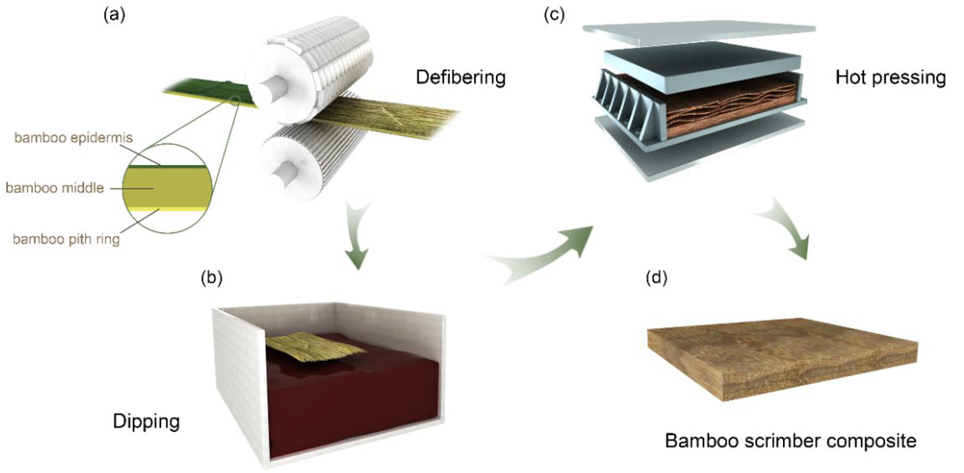 Polymers 14 01856 g001