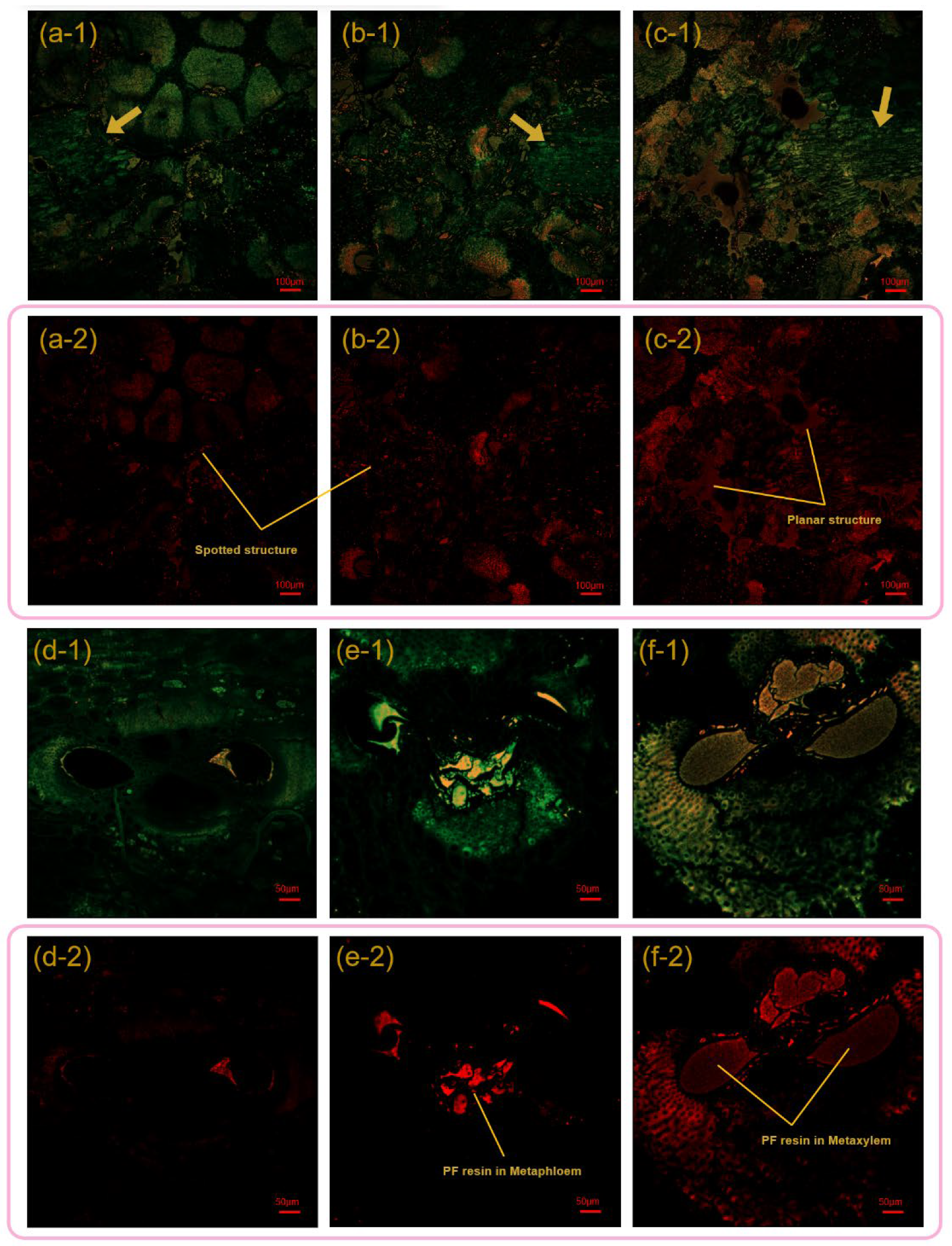 Polymers 14 01856 g004