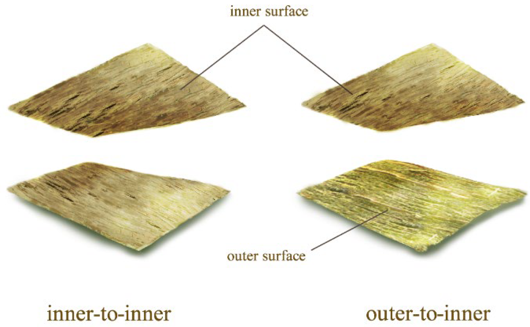 Polymers 14 01856 g006