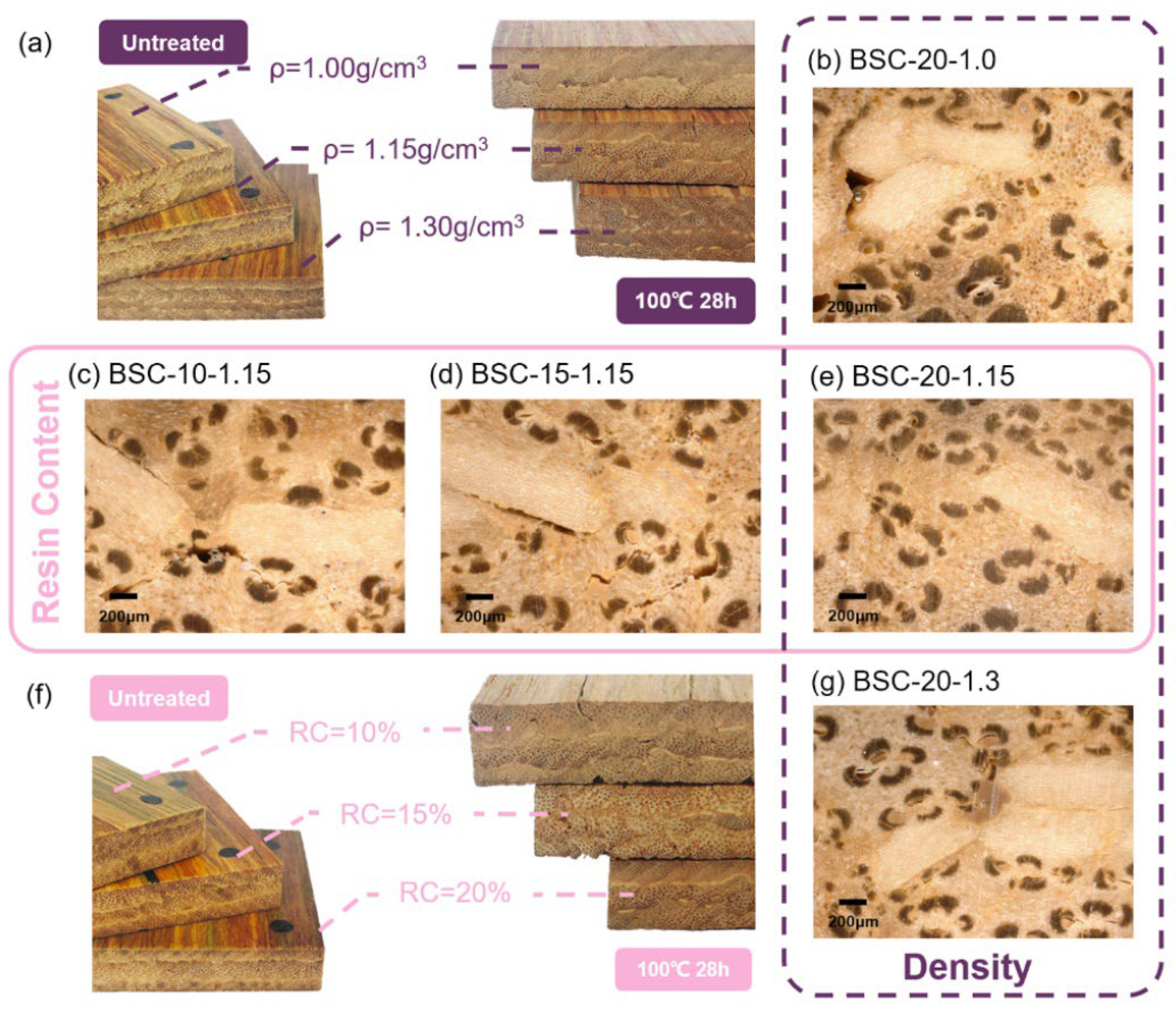 Polymers 14 01856 g008