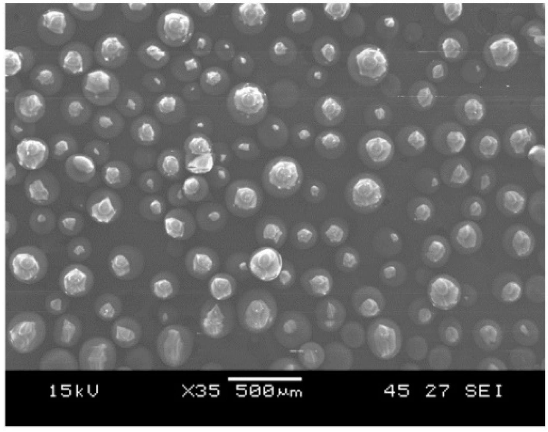 Polymers 14 01862 g001 Polymers 14 01862 g001