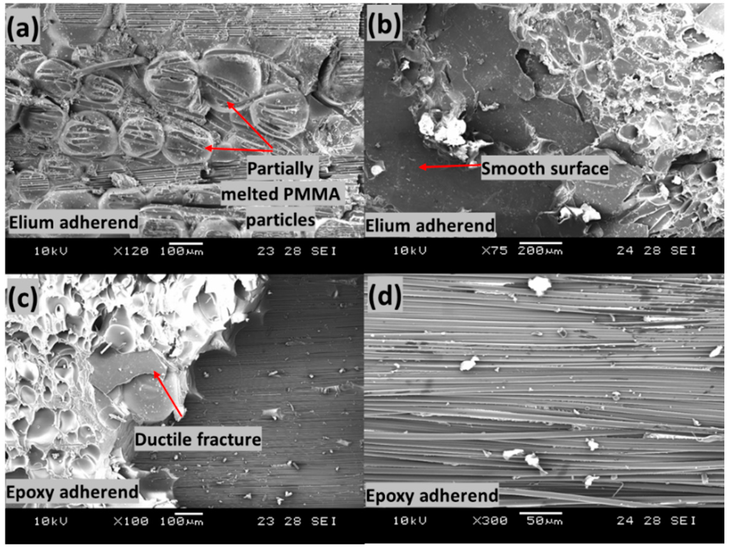 Polymers 14 01862 g021 Polymers 14 01862 g021