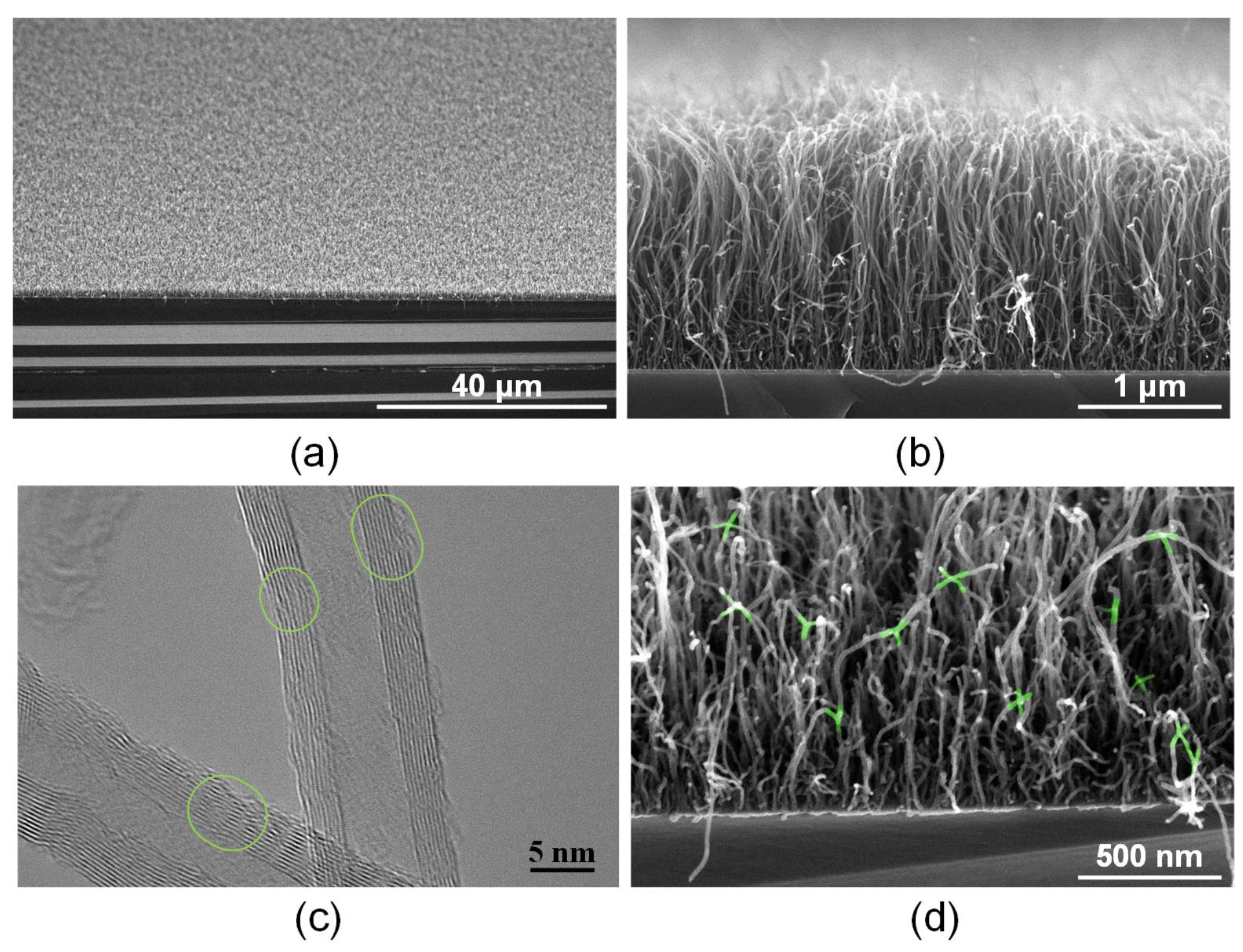 Polymers 14 01866 g003 Polymers 14 01866 g003