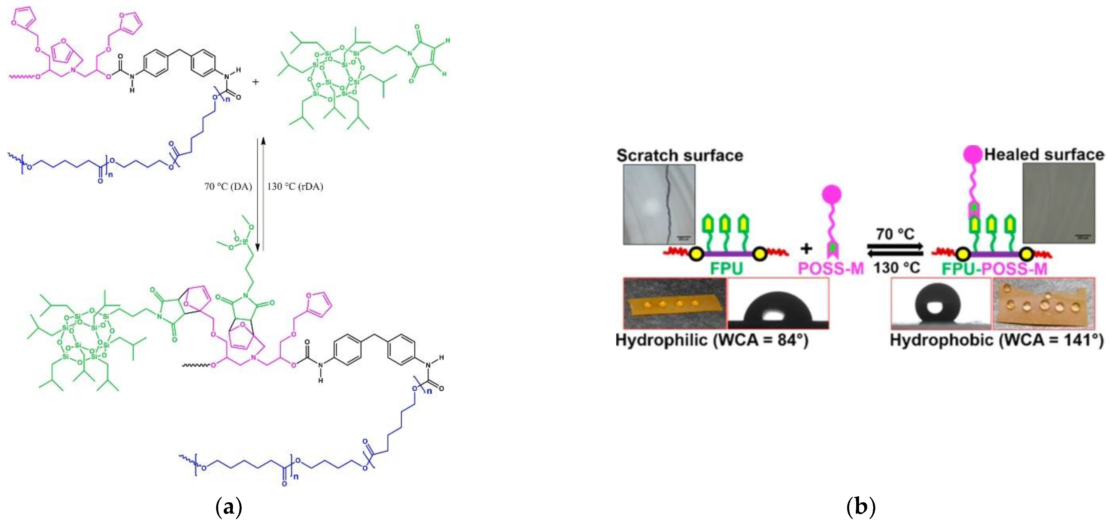 Polymers 14 01869 g011