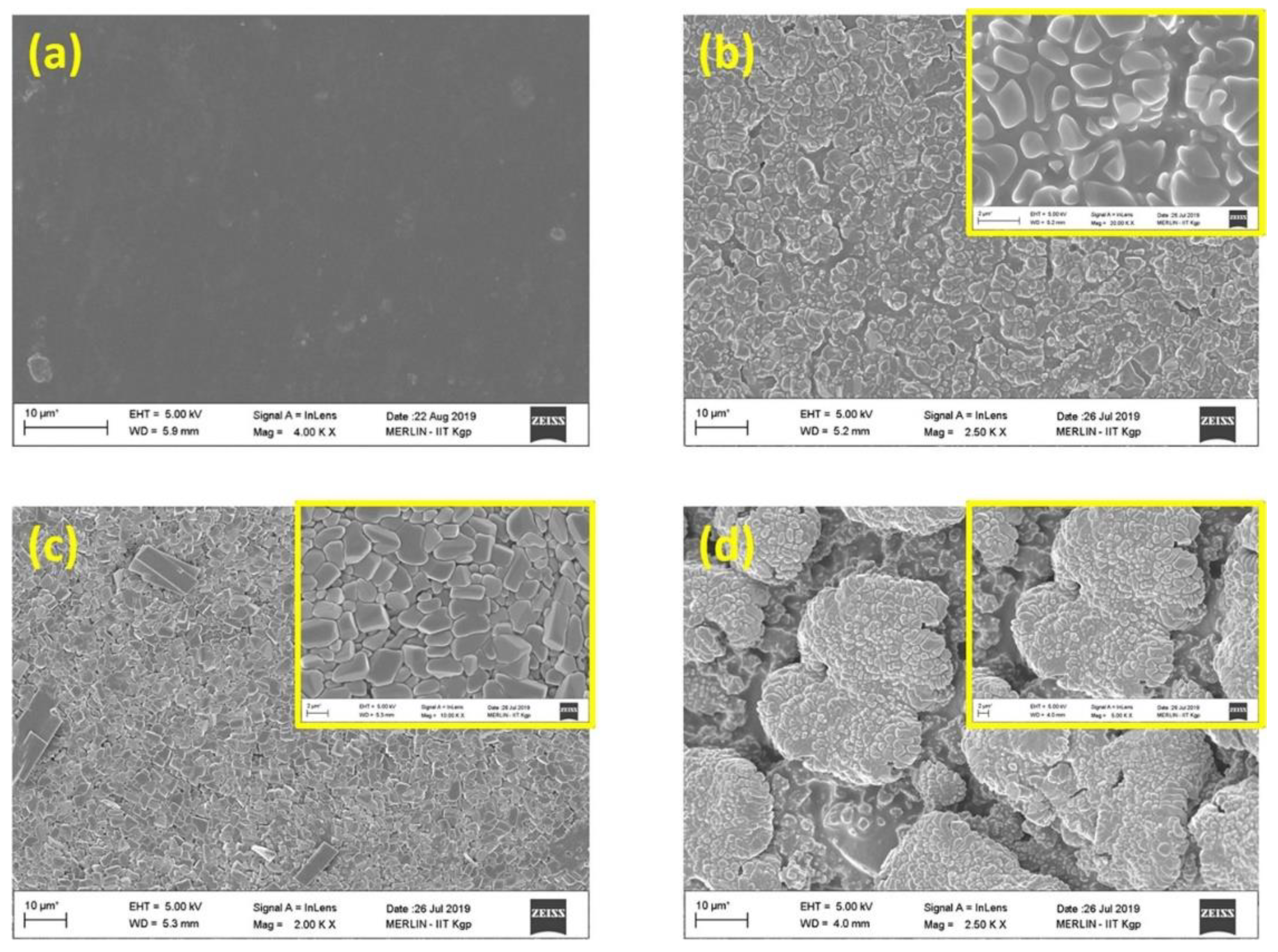 Polymers 14 01869 g018