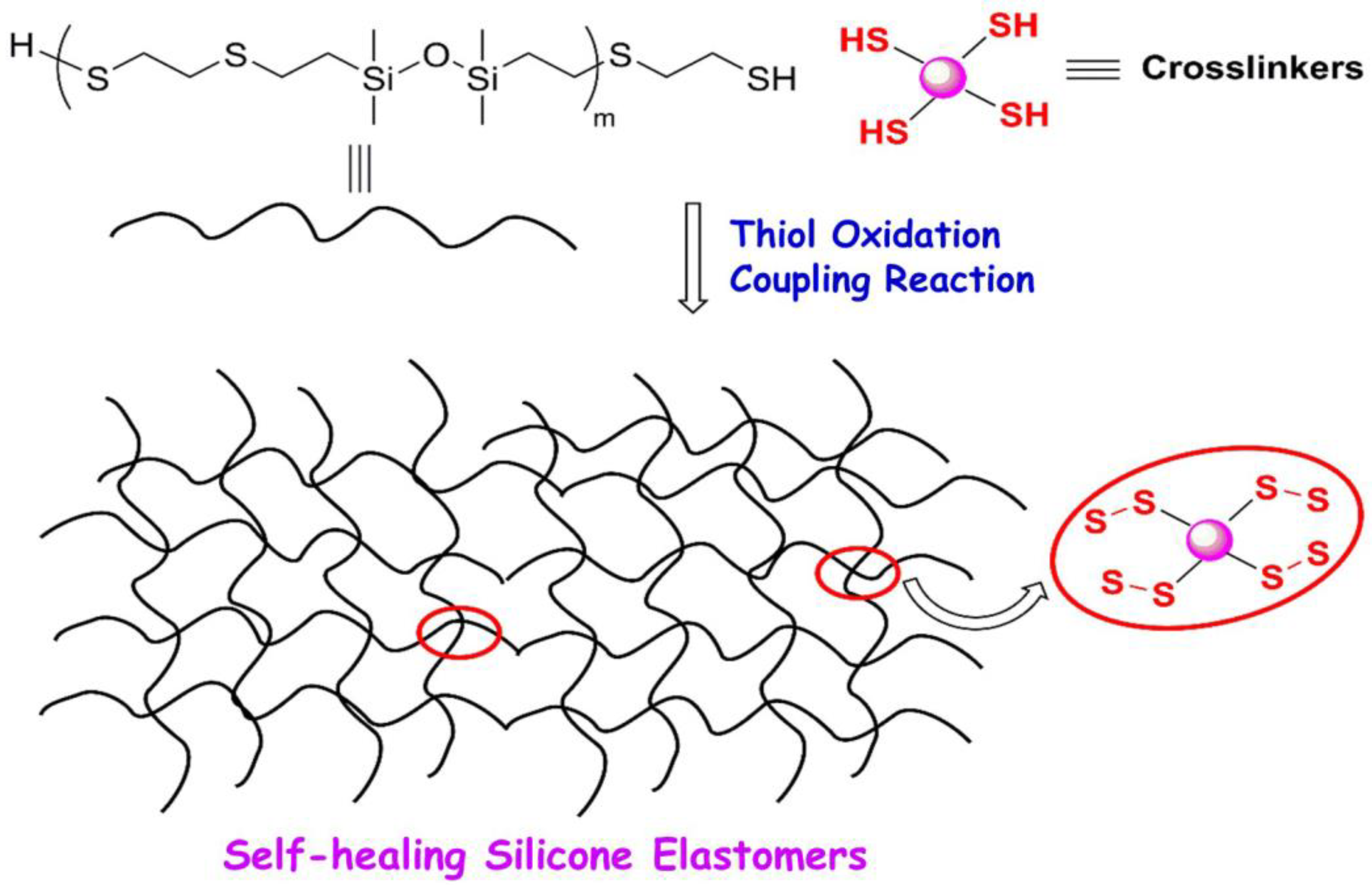 Polymers 14 01869 g019