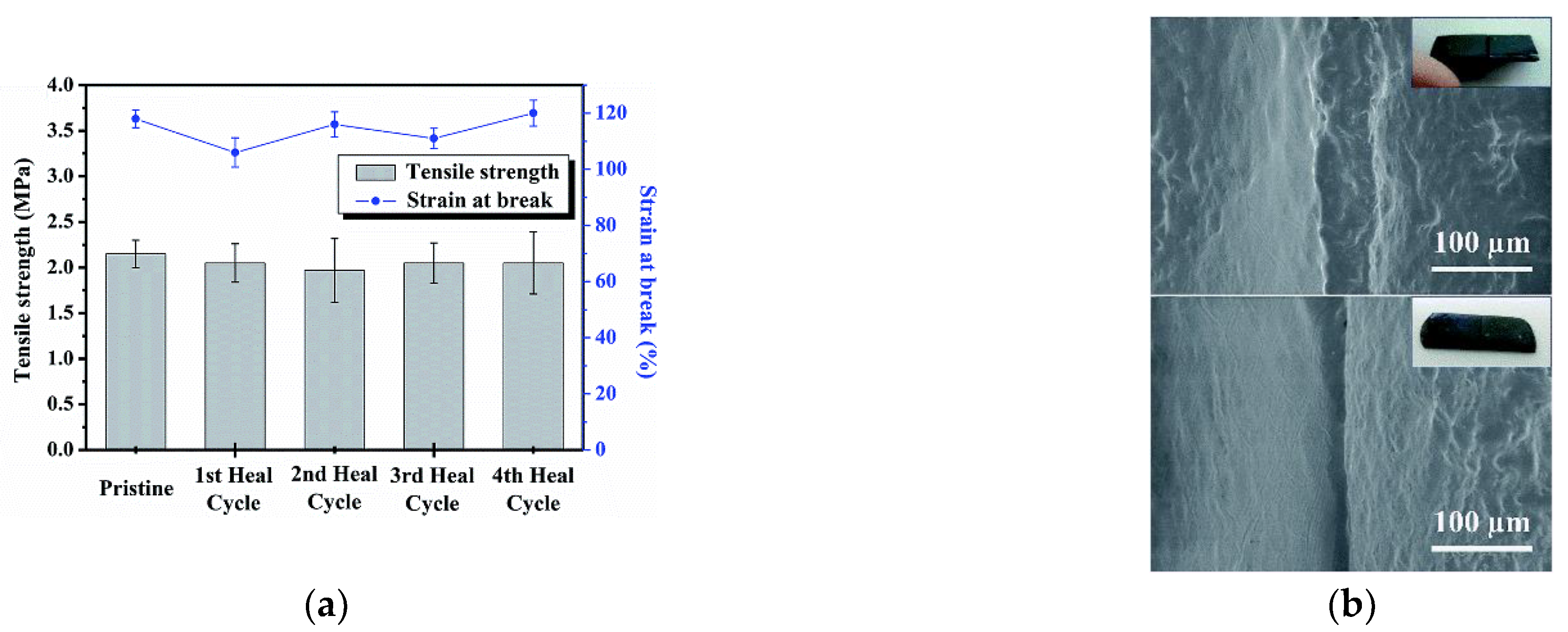 Polymers 14 01869 g020