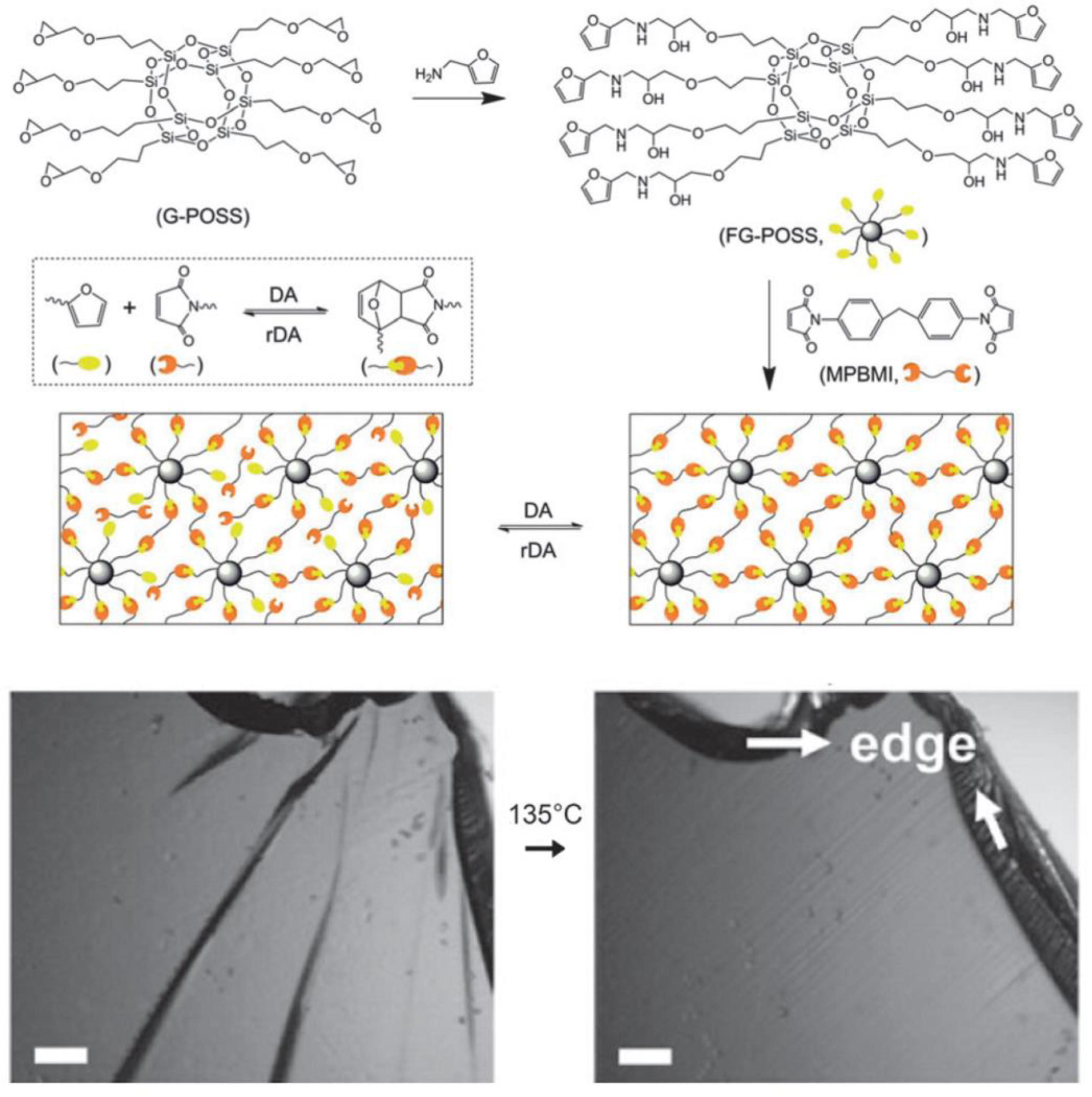 Polymers 14 01869 g021