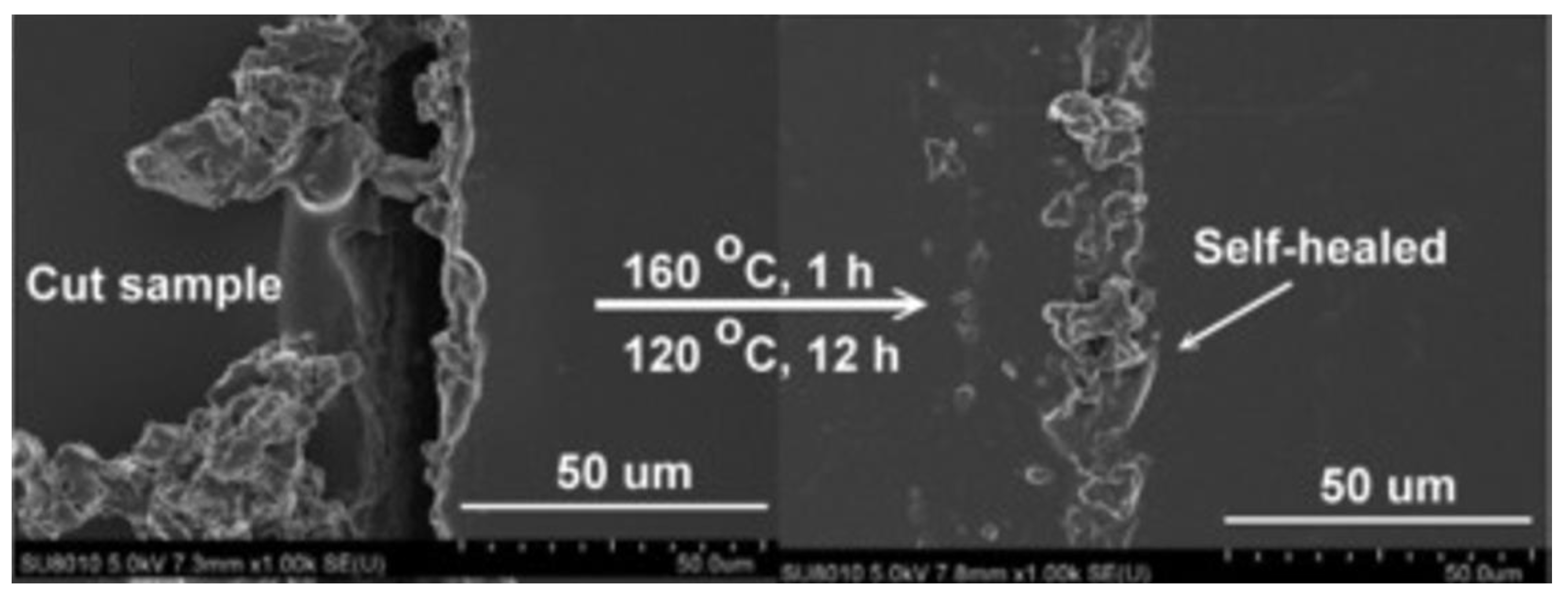 Polymers 14 01869 g023