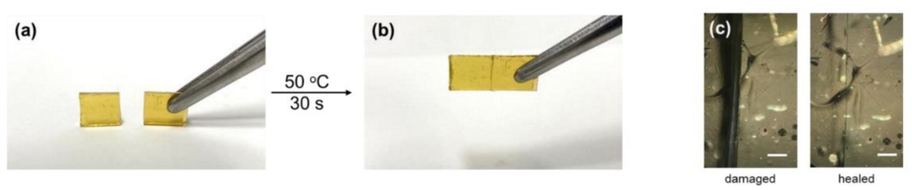 Polymers 14 01869 g027