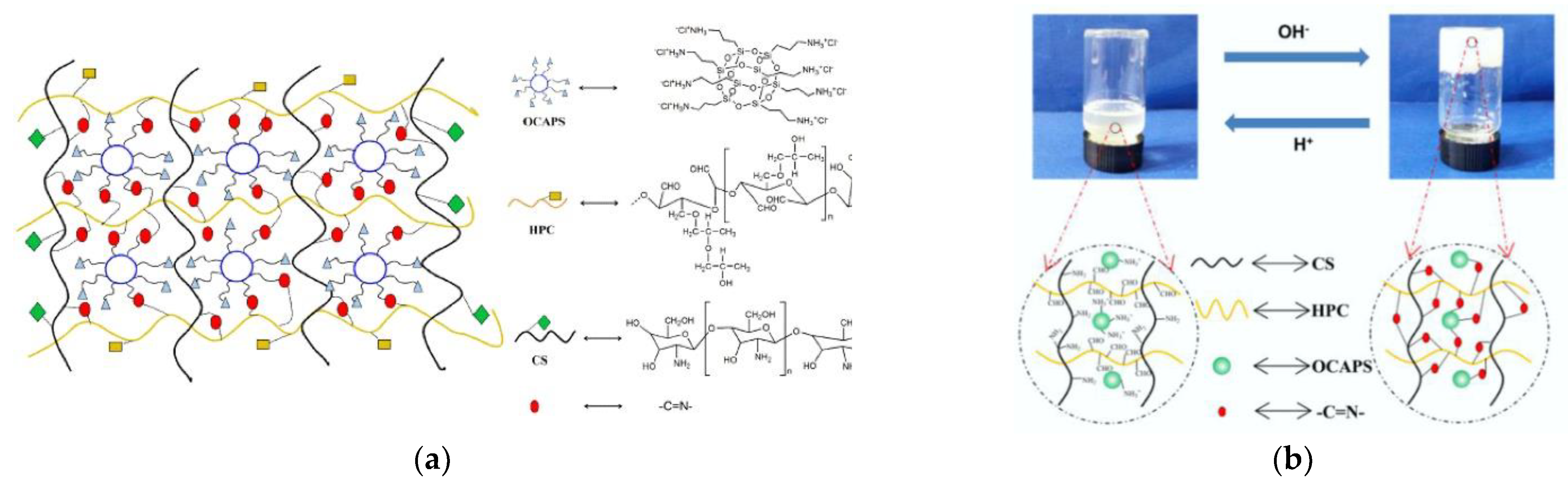 Polymers 14 01869 g031
