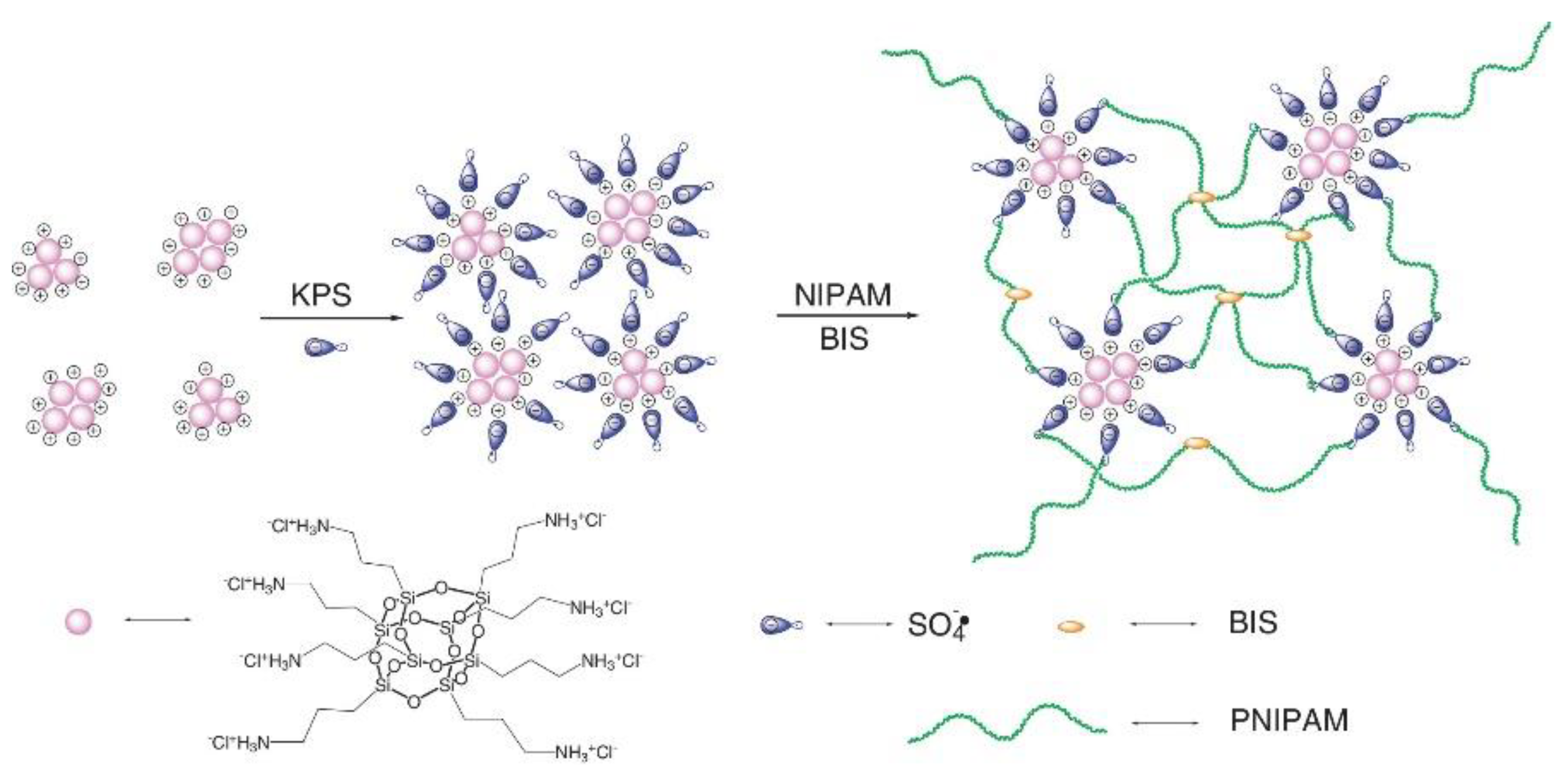Polymers 14 01869 g033