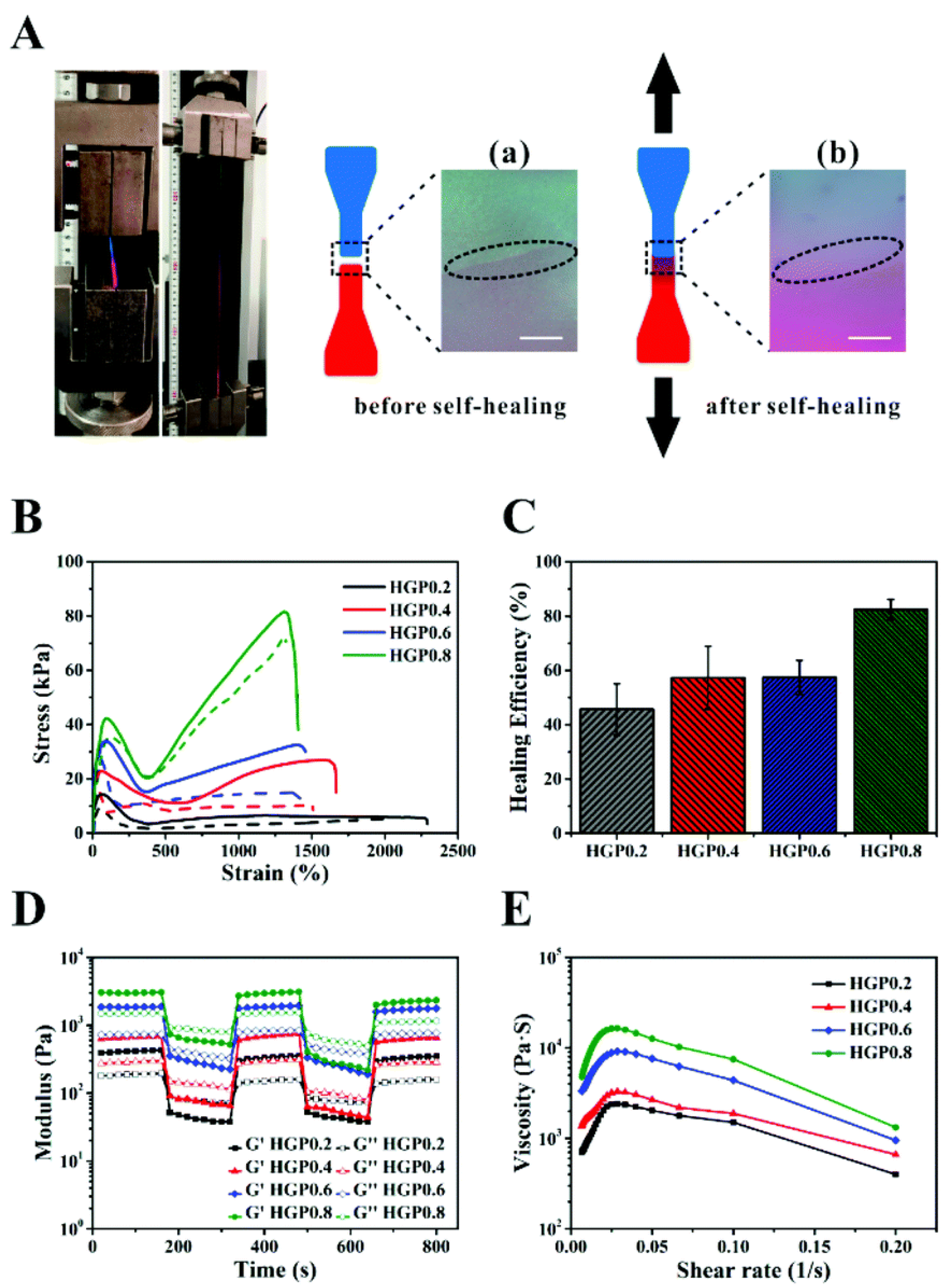 Polymers 14 01869 g035