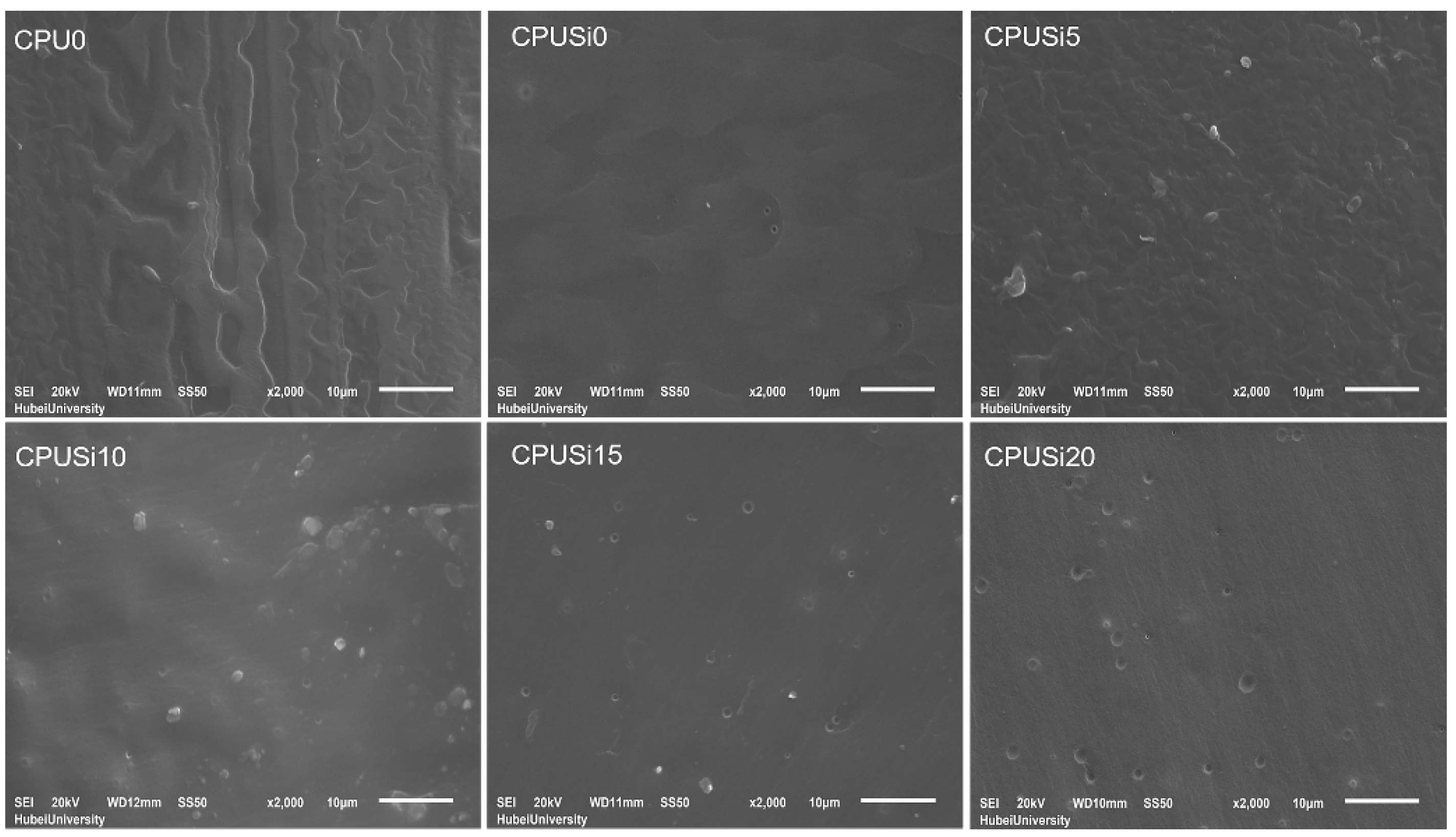 Polymers 14 01880 g005