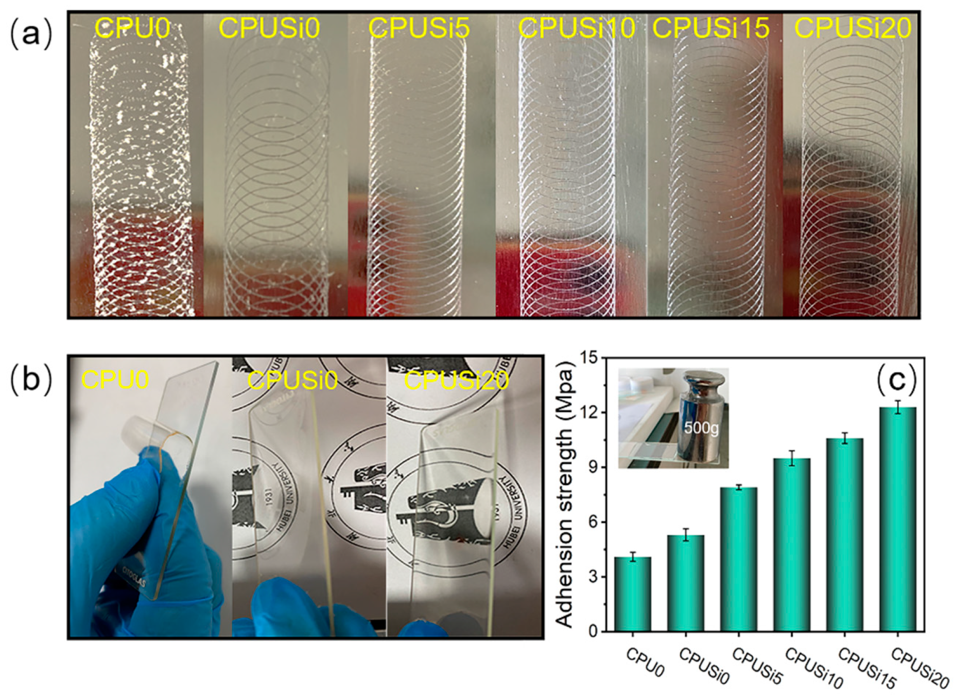 Polymers 14 01880 g010
