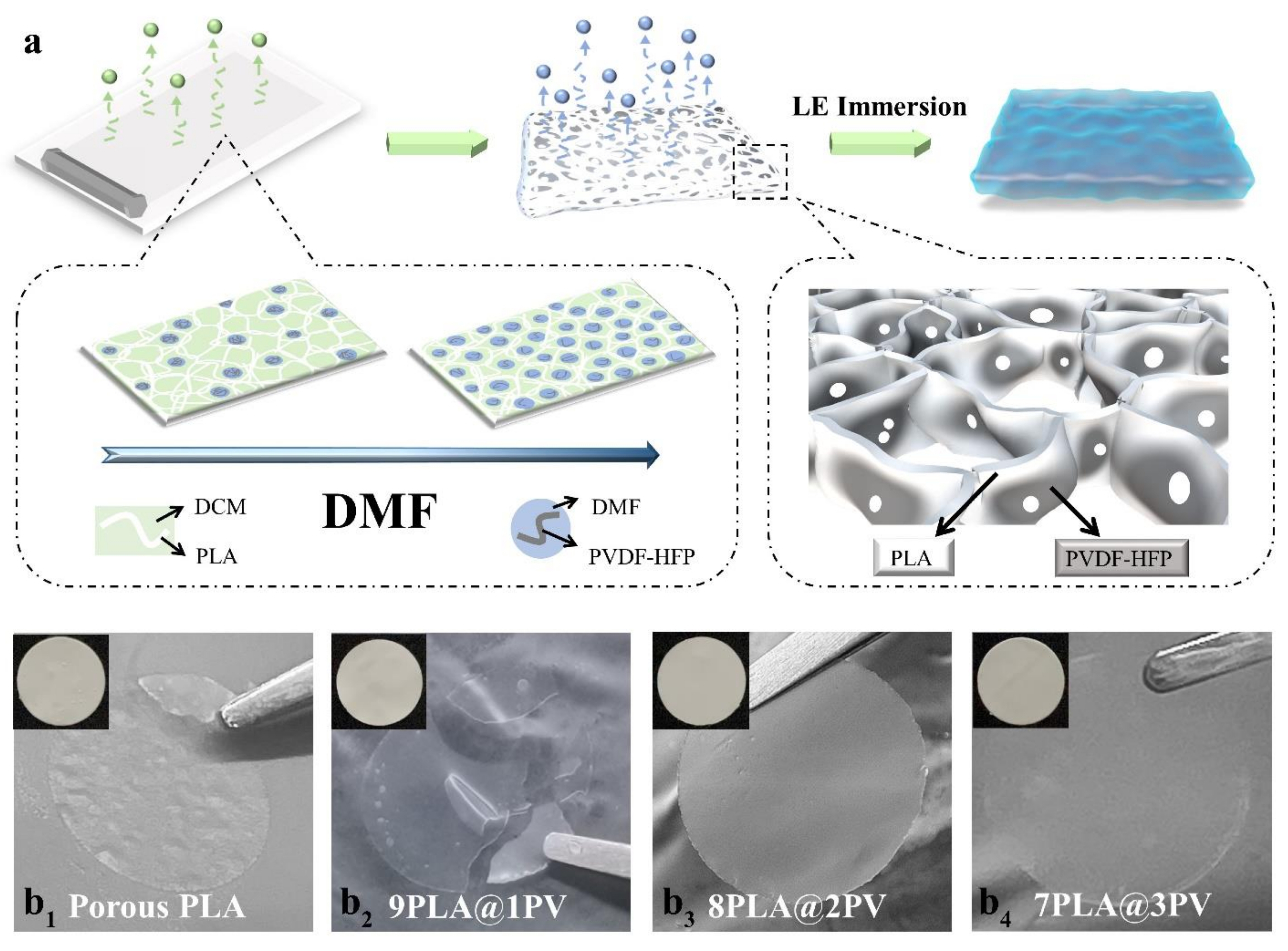 Polymers 14 01881 g001
