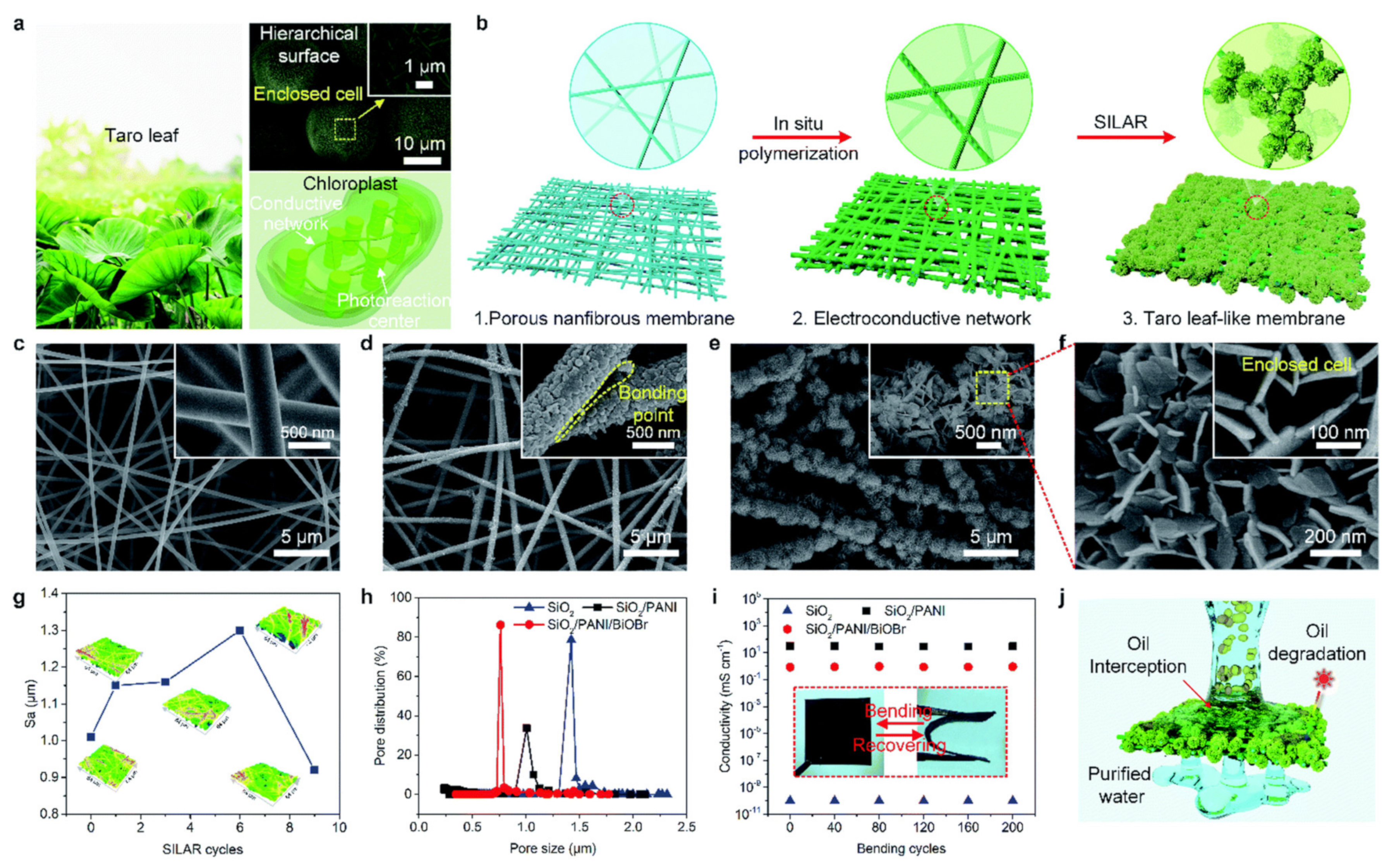 Polymers 14 01890 g003