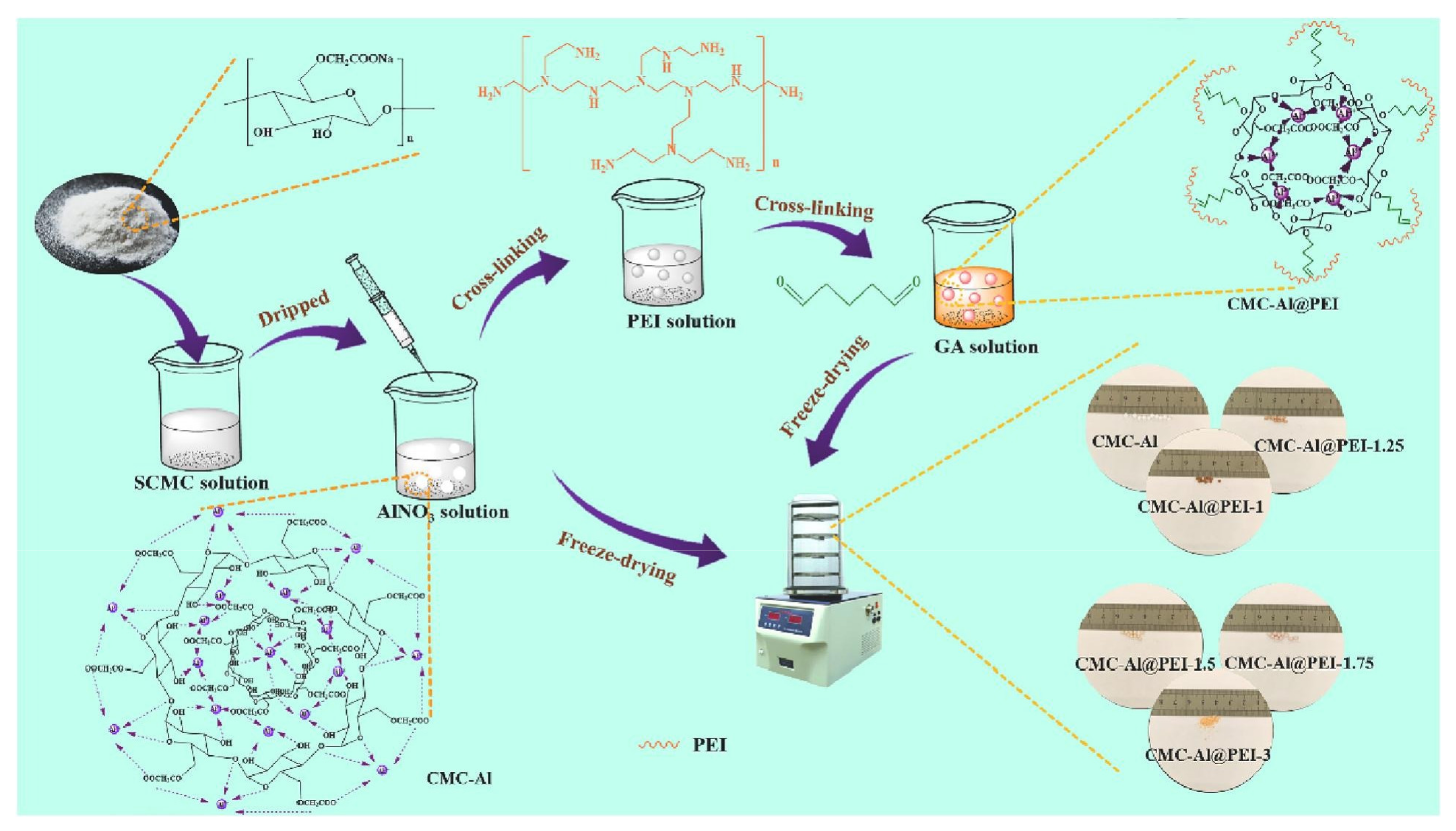 Polymers 14 01890 g009