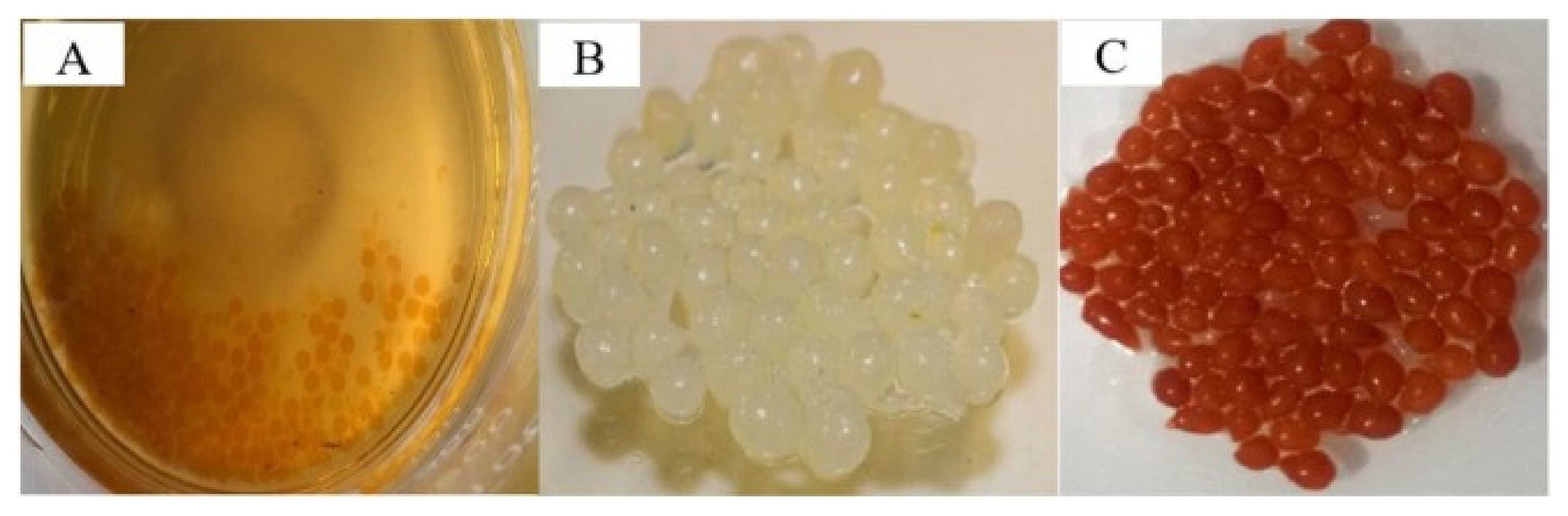 Polymers 14 01890 g017
