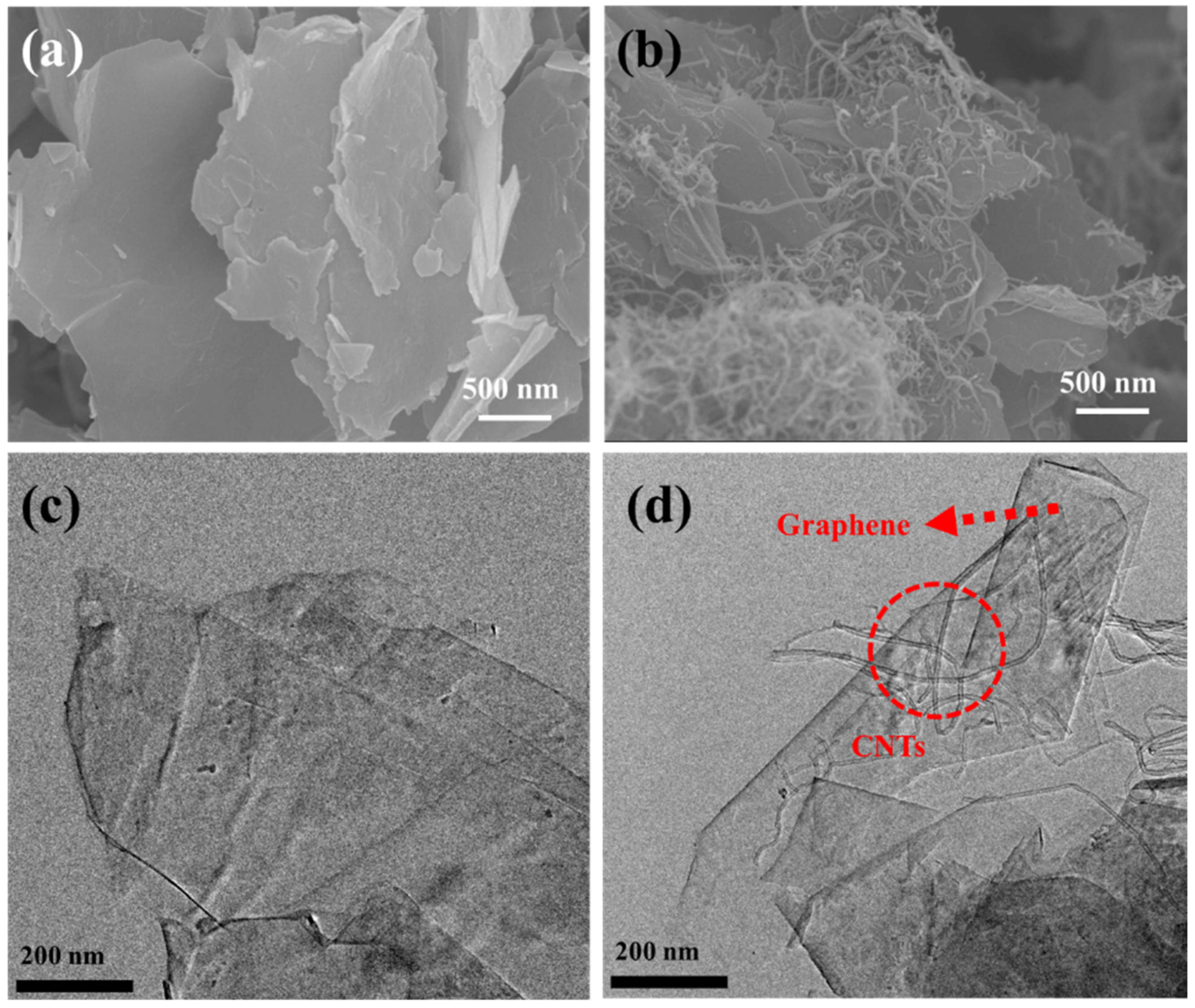 Polymers 14 01892 g003