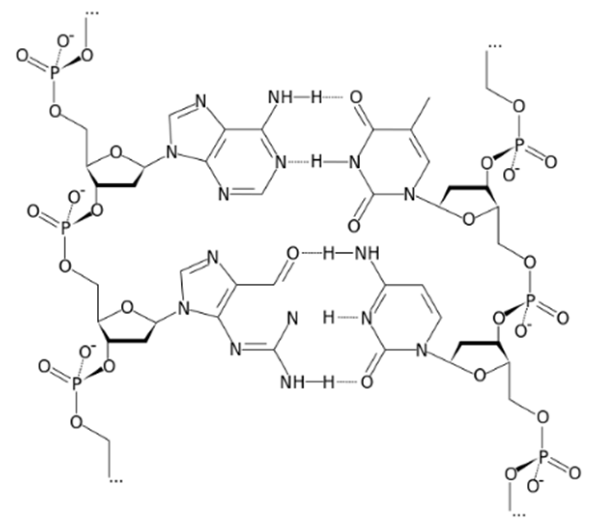 Polymers 14 01896 g001