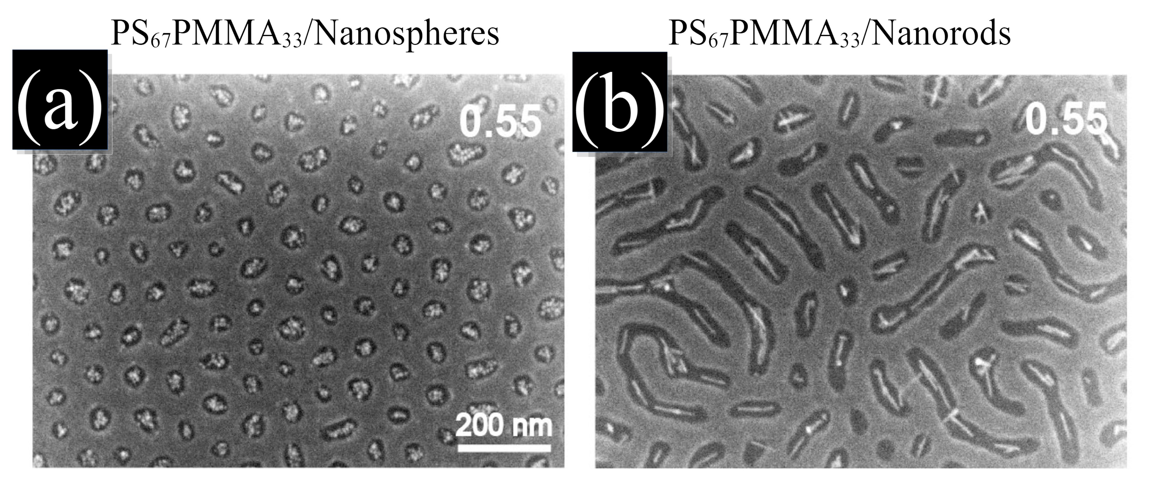 Polymers 14 01910 g001 Polymers 14 01910 g001